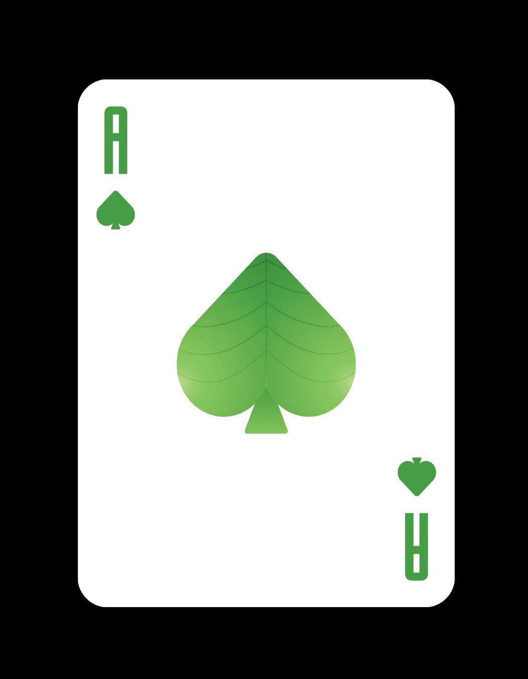 Botanical Cards40.jpg