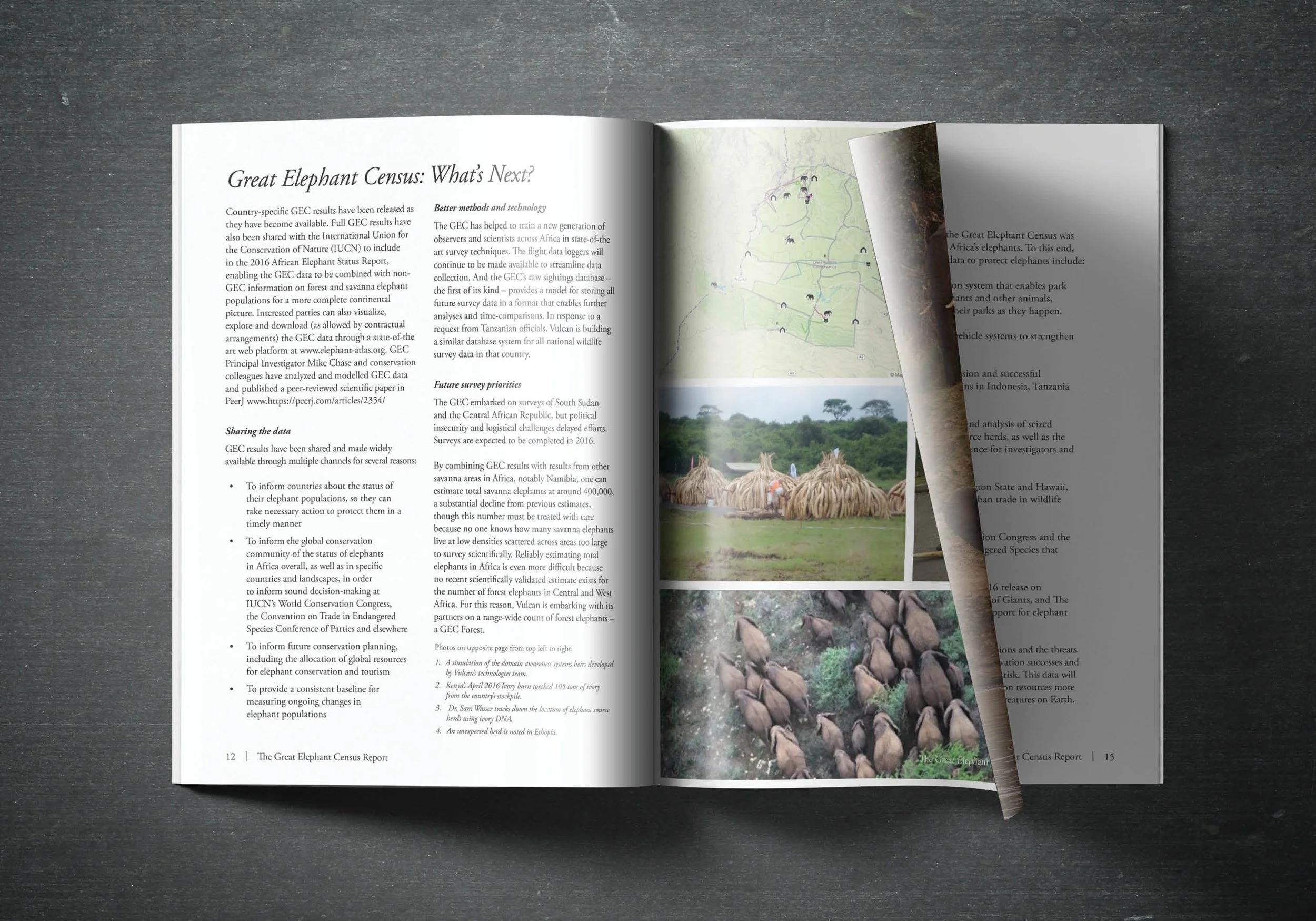 ElephantCensus_report6.jpg