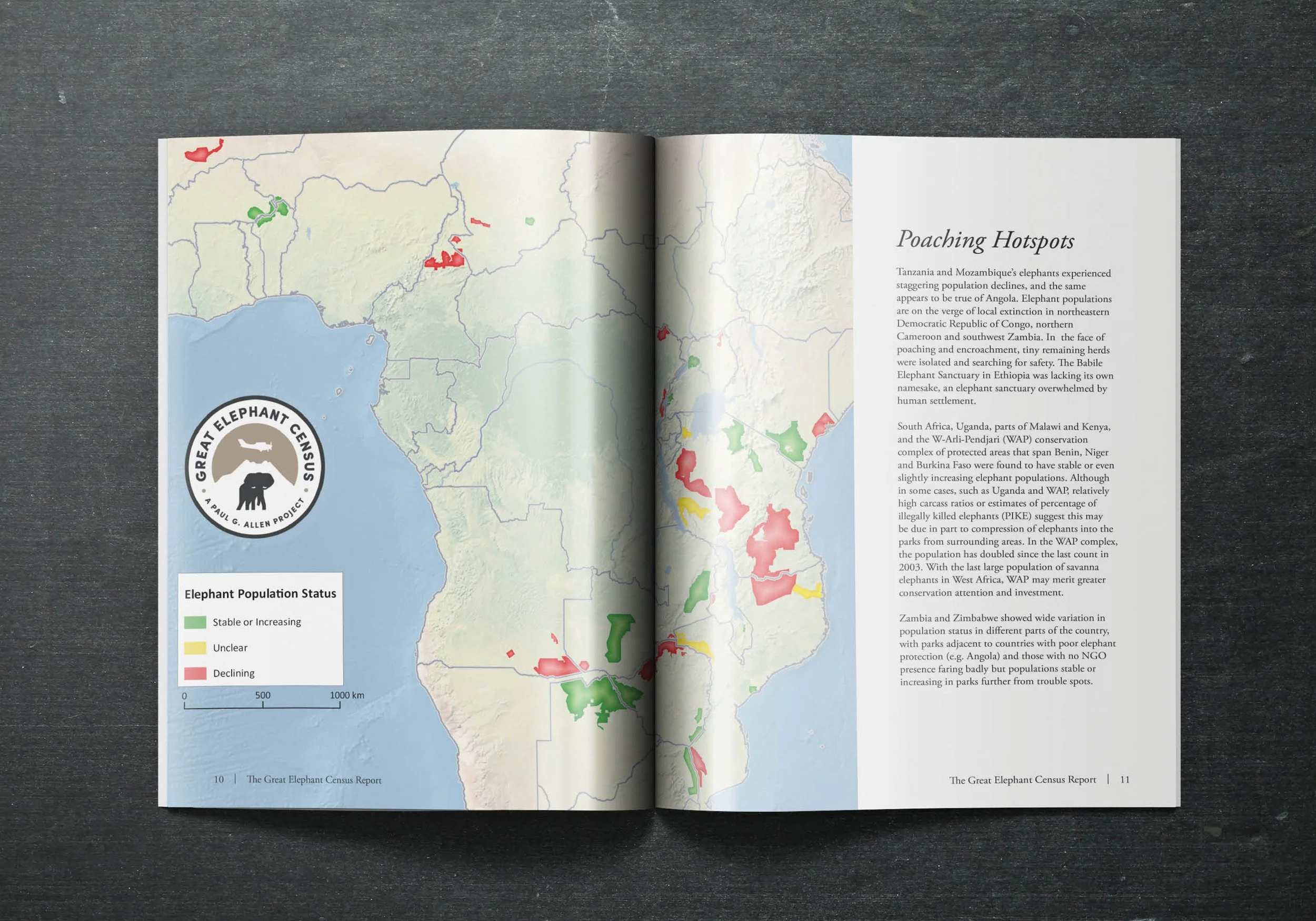 ElephantCensus_report7.jpg