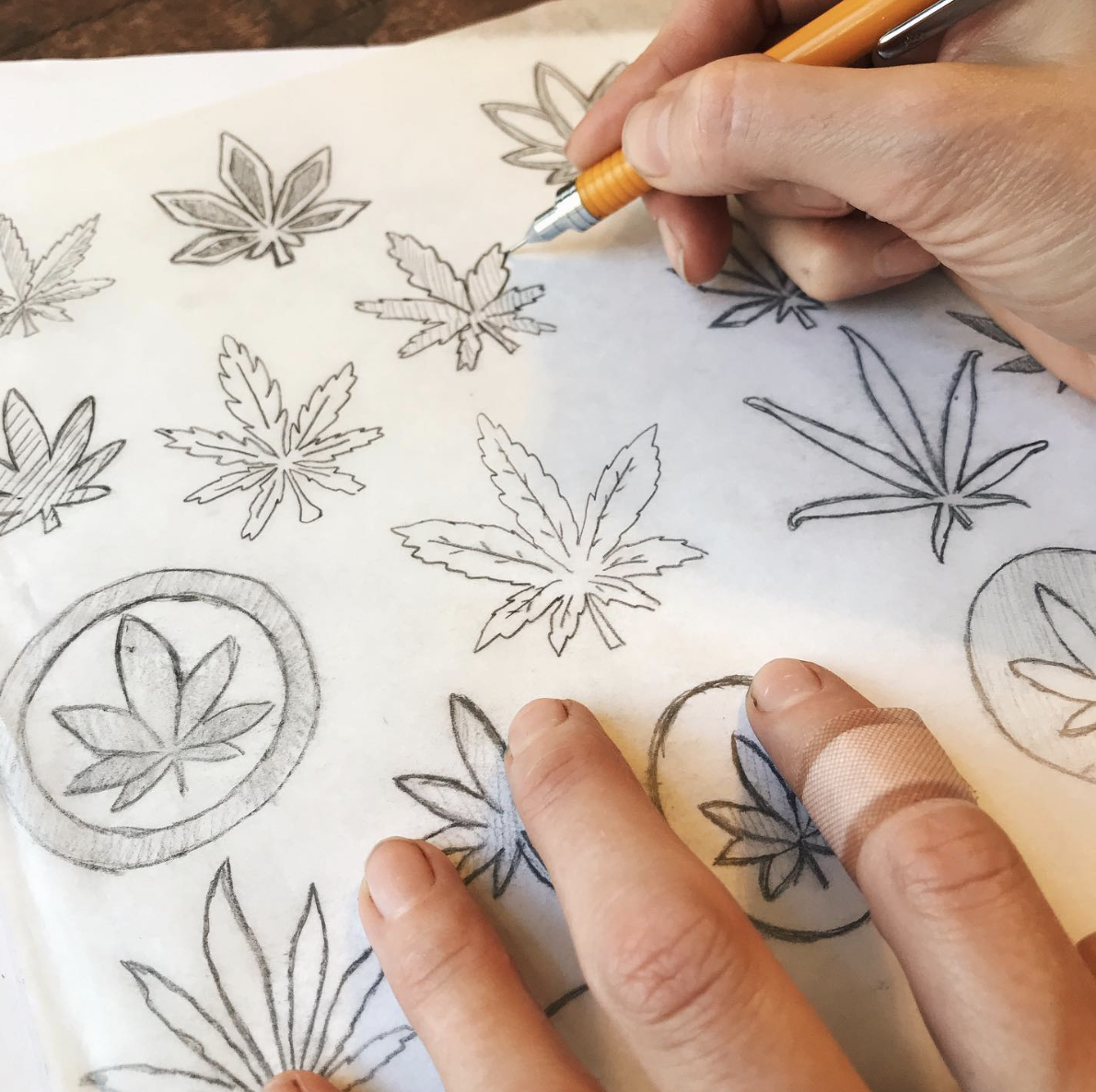 Cannabis-Sketch-2.png