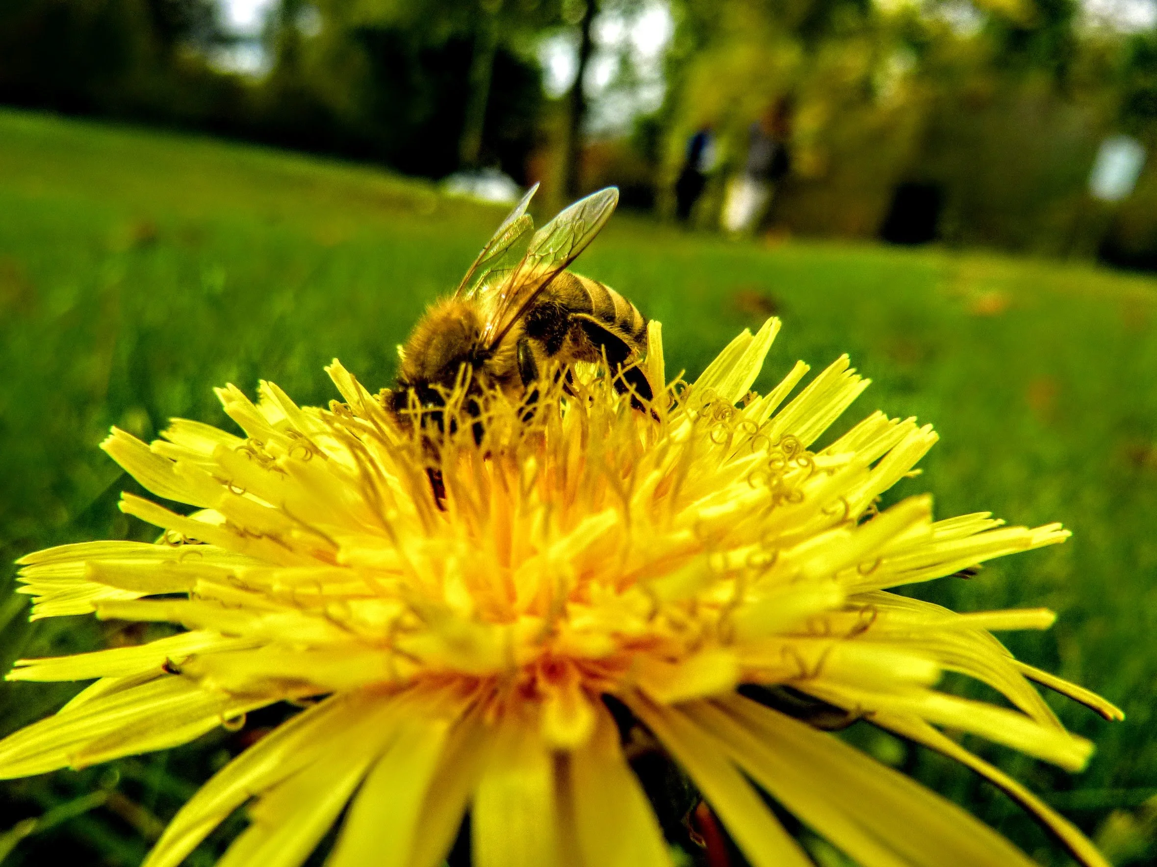 Kyle R. - Brookville PS