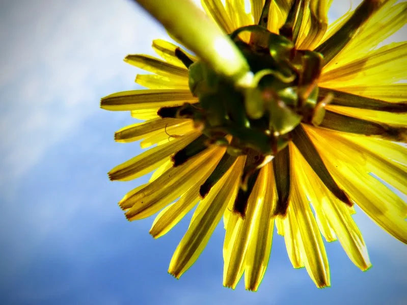 Paige M. - John Black PS