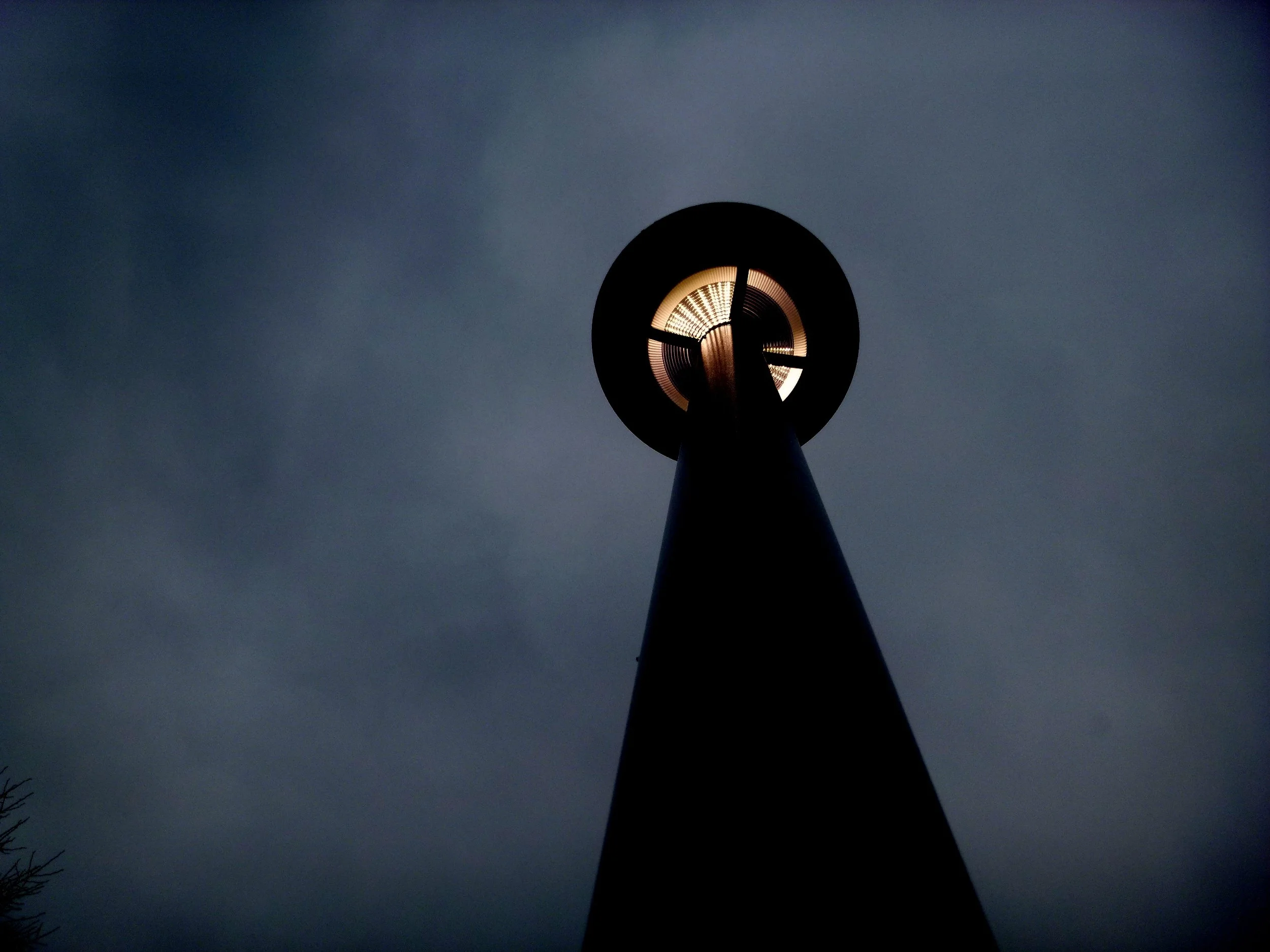 Mohith D. - Dr. David R. Williams Public School