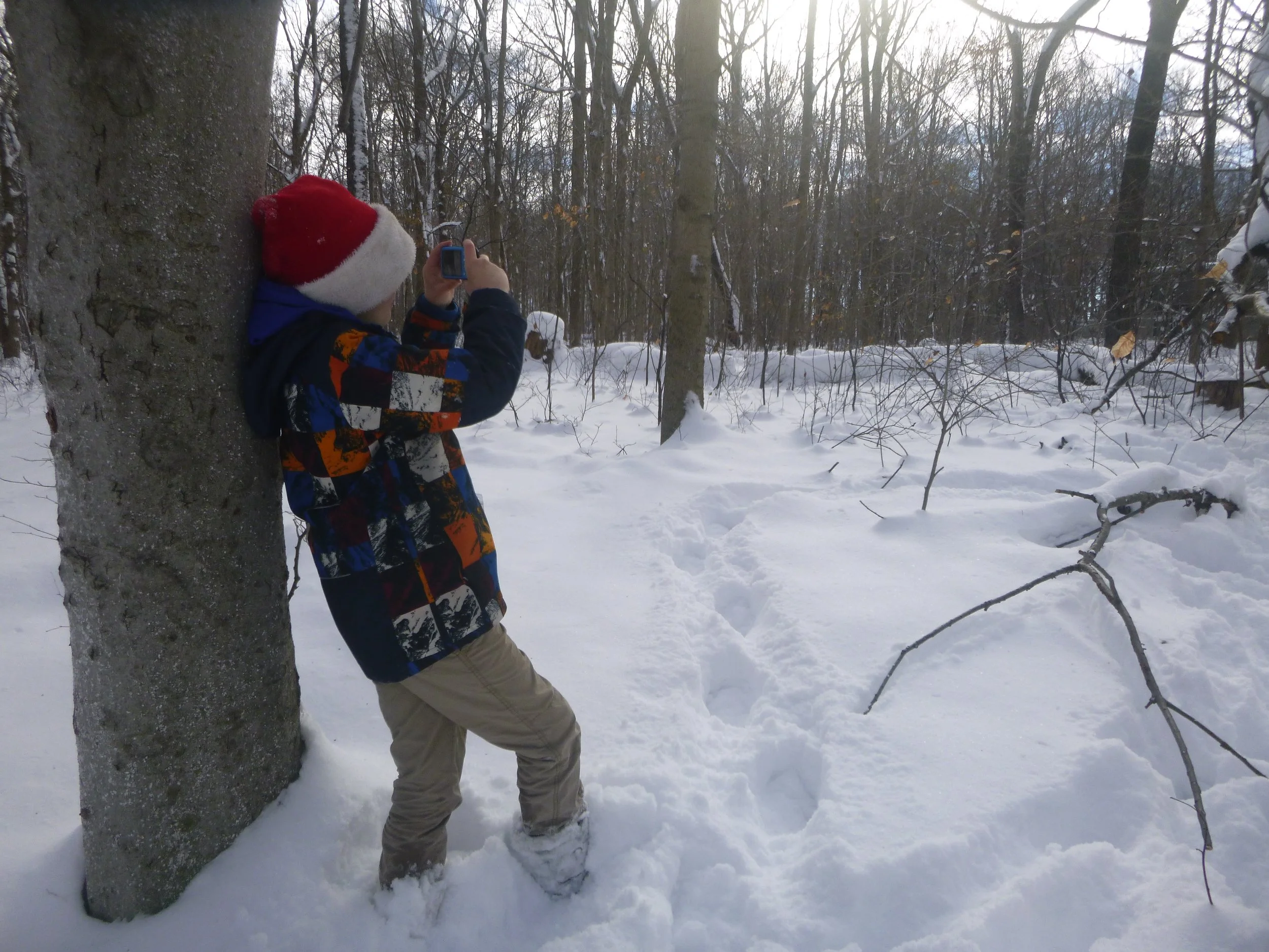 How to Encourage Kids to Care About the Environment Through Photography