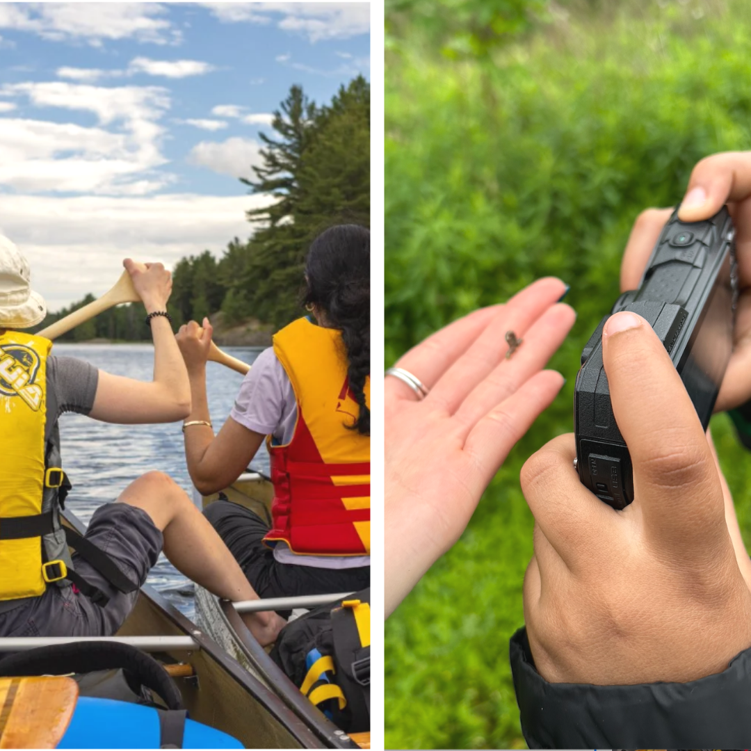 The Flow and The Focus at 2026 Summer Camp&nbsp;