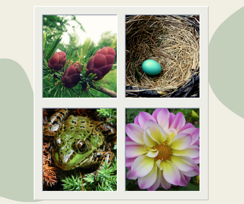 Picture Perfect: More About Our Workshop Offerings