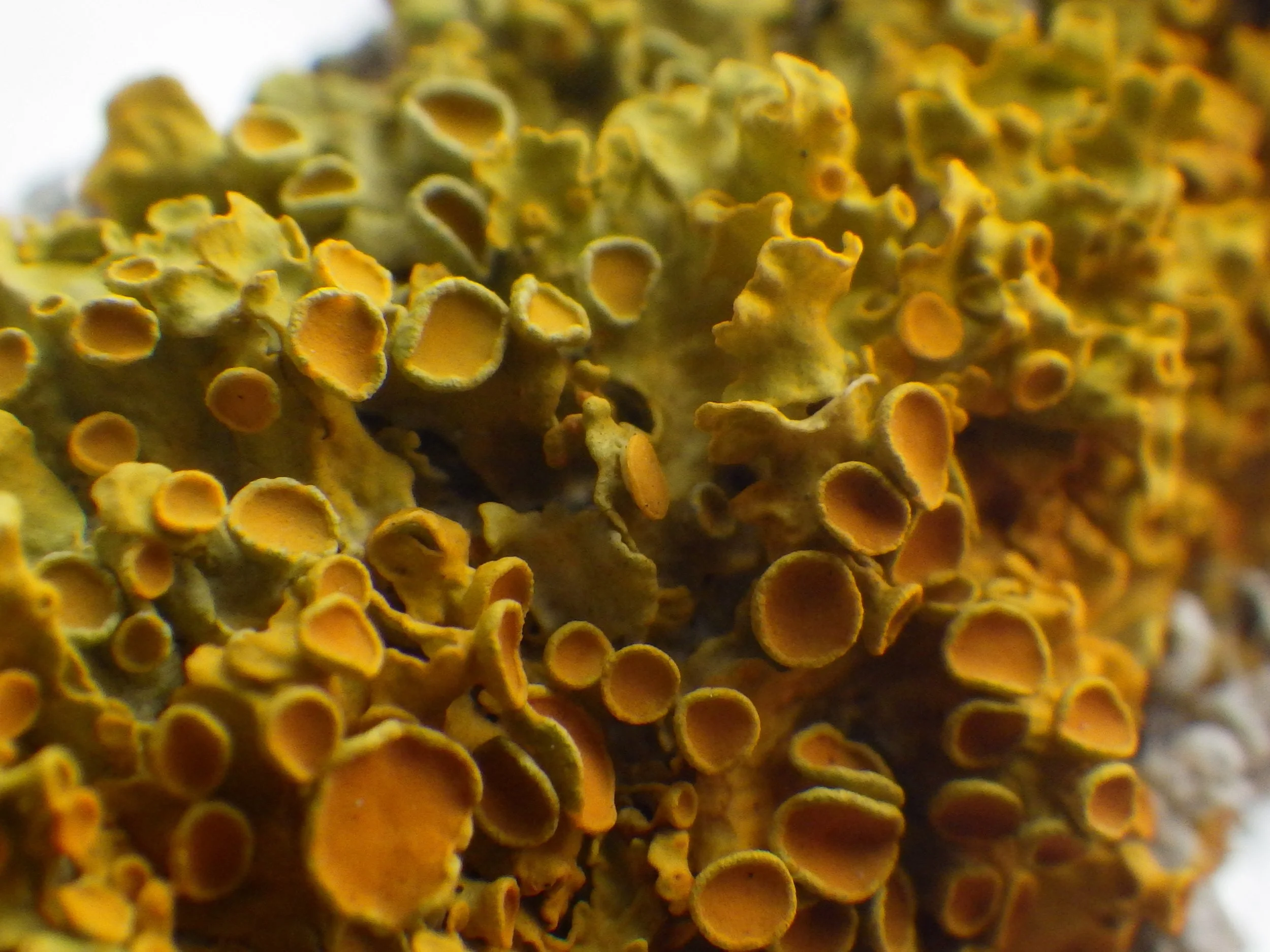 09-Maelle J March Break 26-008.JPG