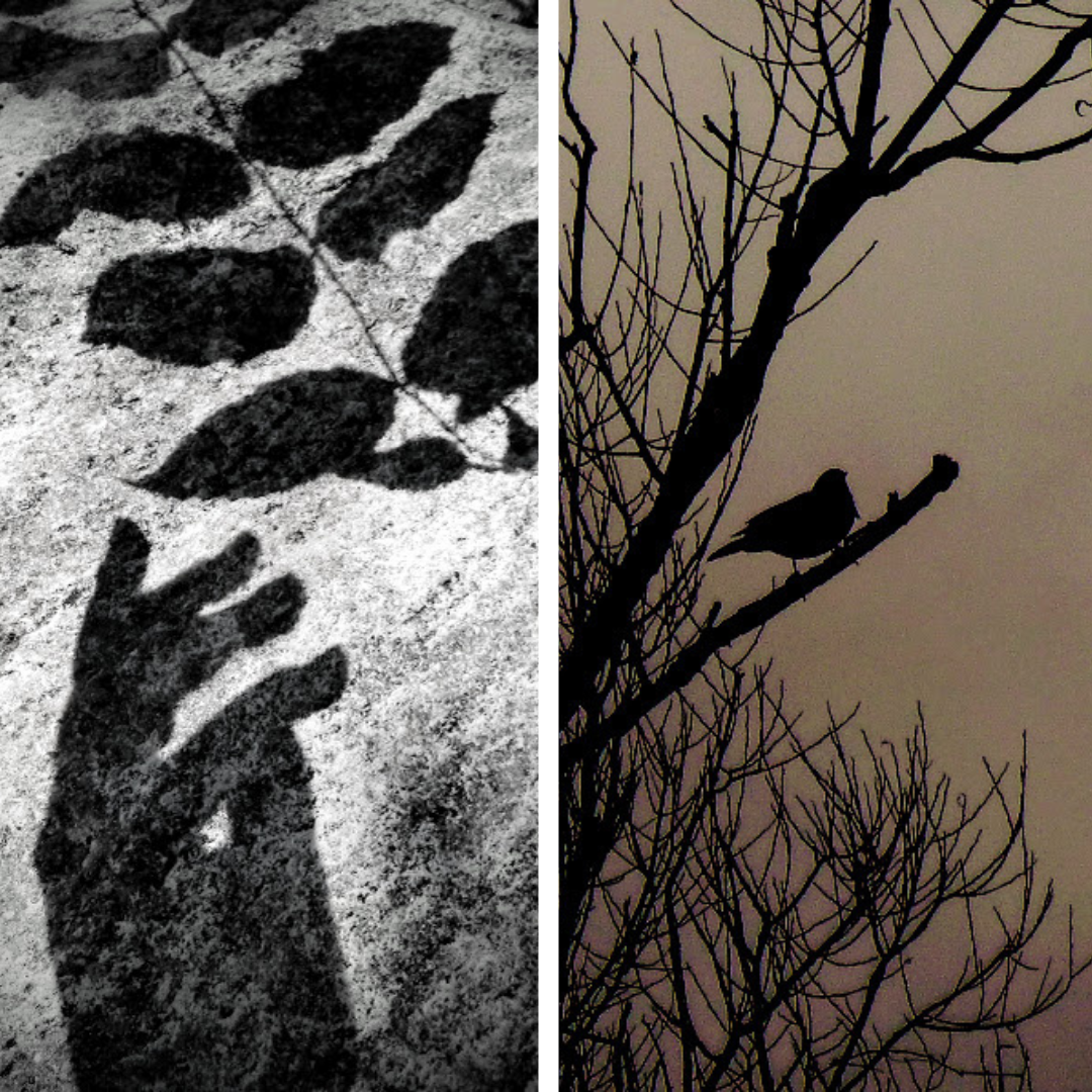 The Magic of Shadows