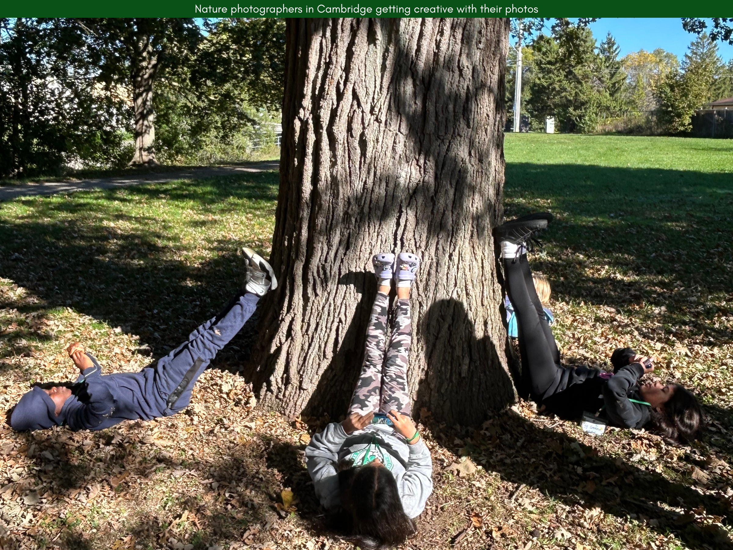 5.png