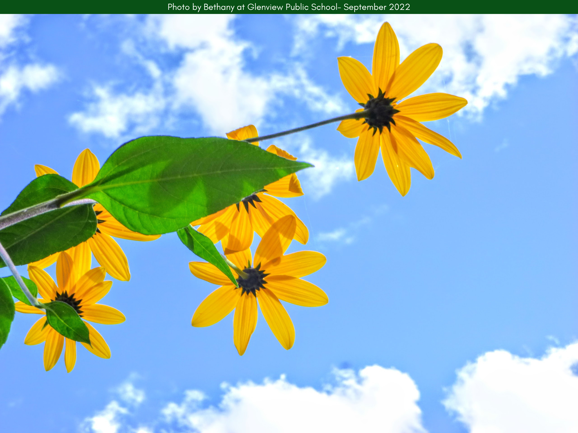 6.png