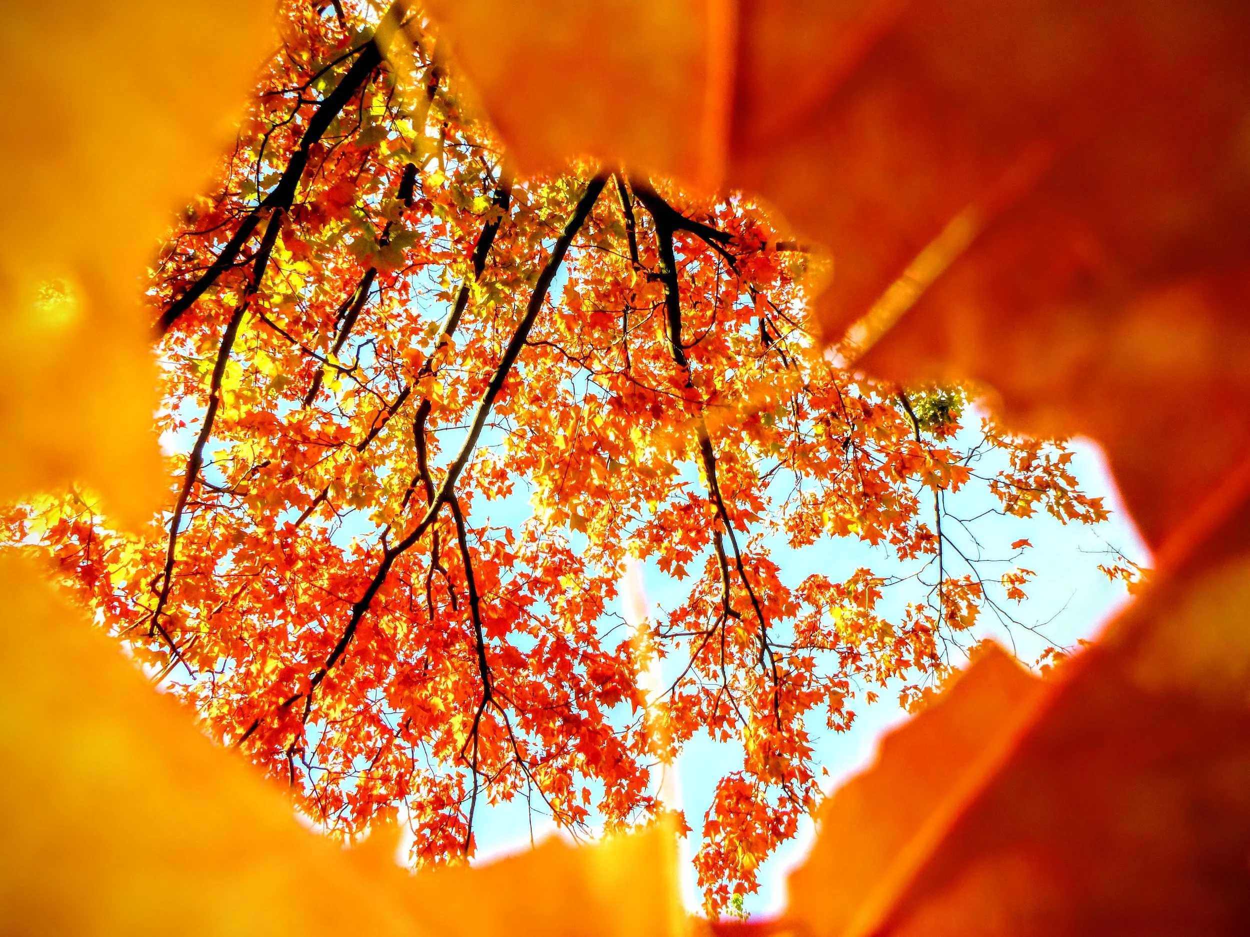 Autumn’s Arrival &amp; How to Connect with Us