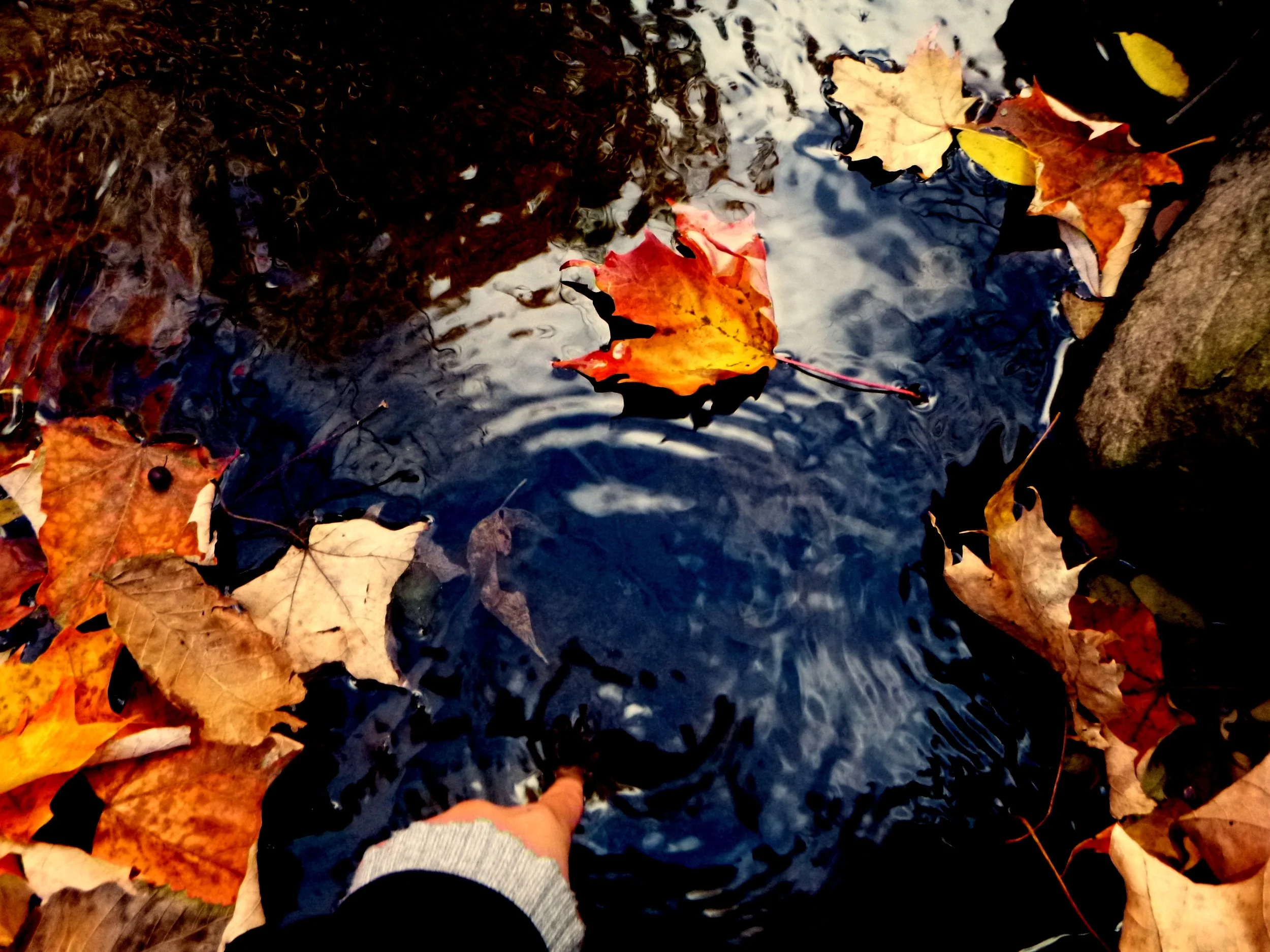 Letitia H. - Clanmore Montessori School