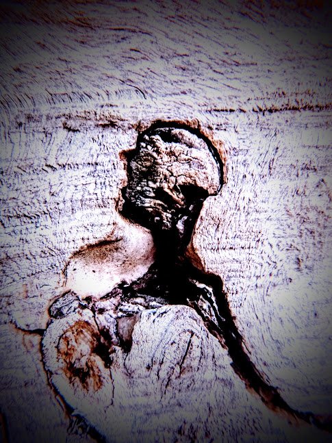 Uzair A. - P.L. Robertson PS