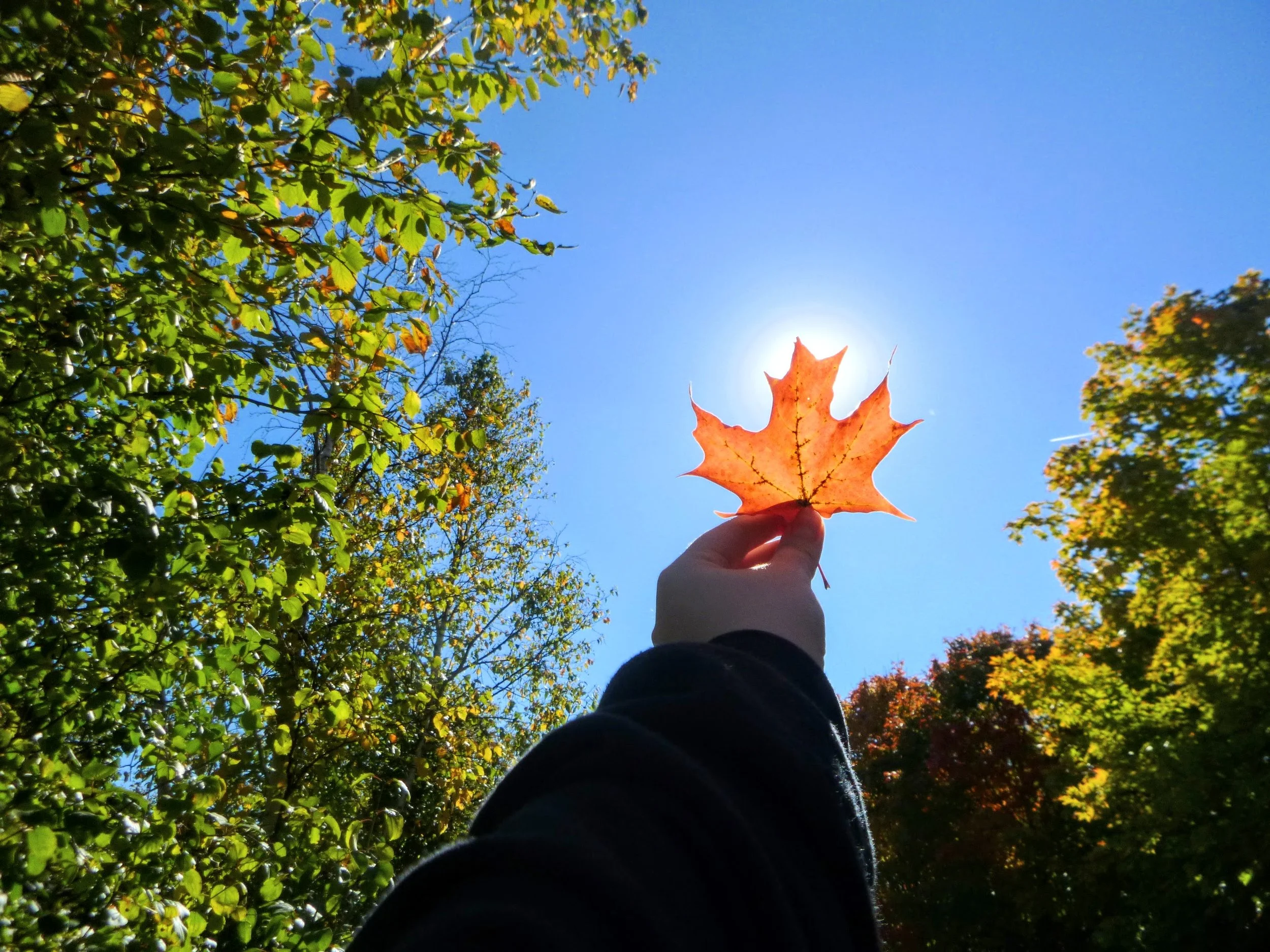 Izabella B. - Sunningdale PS