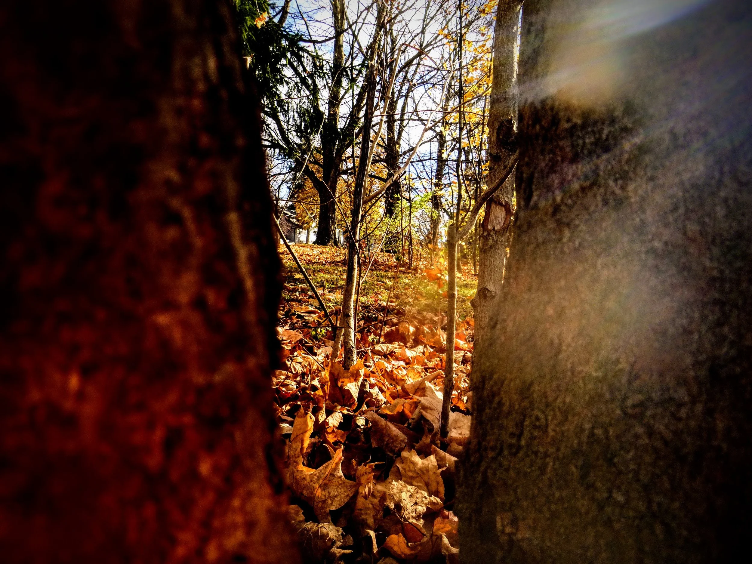 Athena - St. Joseph's CES