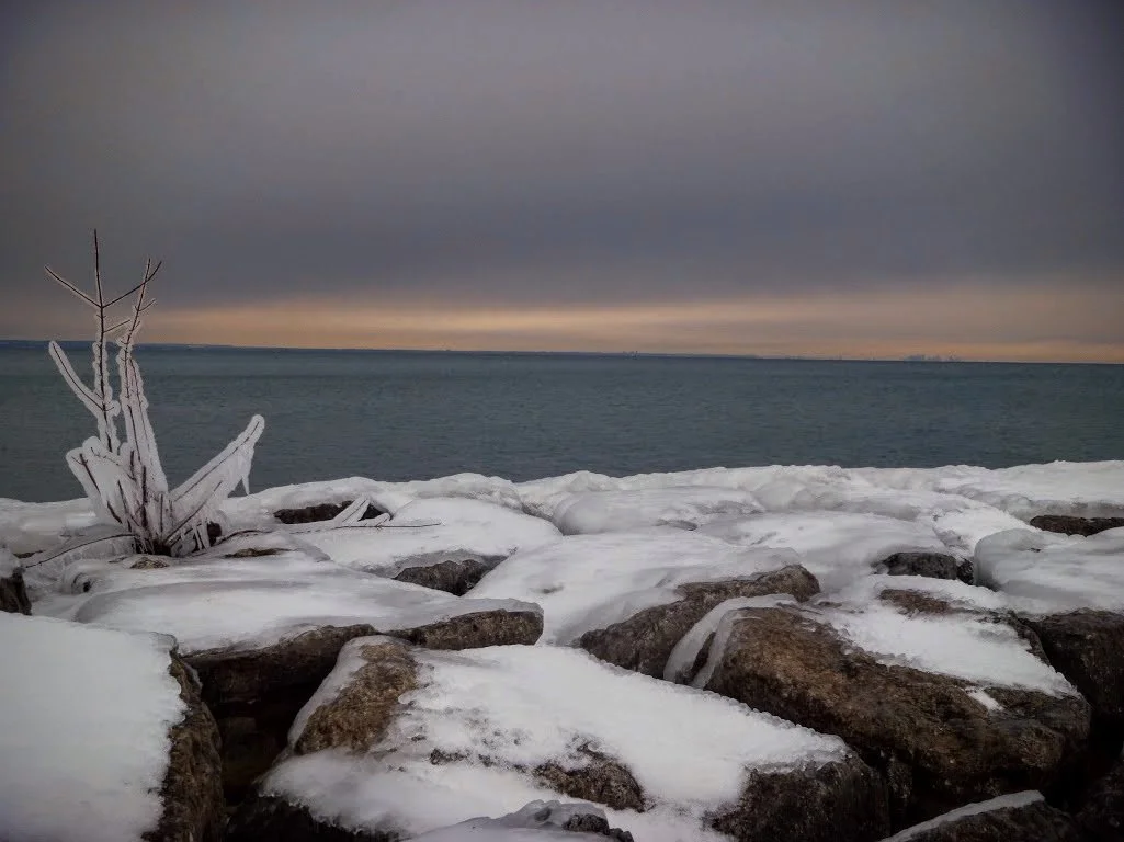 Alyssa Z. - Our Lady of Fatima CES