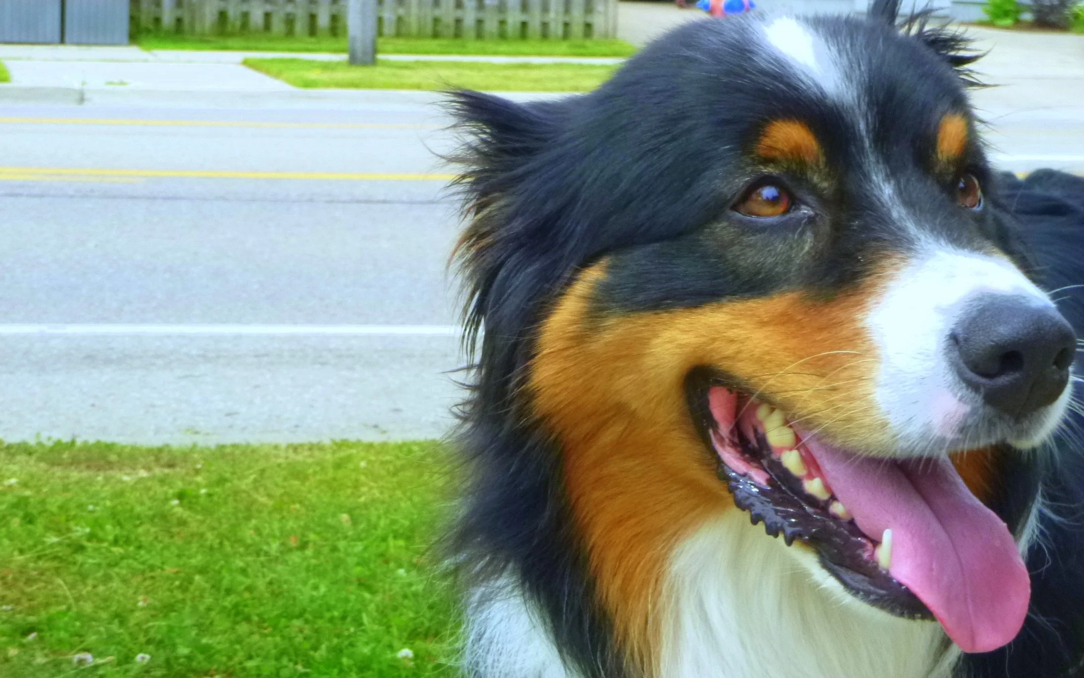 Kevin Z. - Captain R. Wilson PS