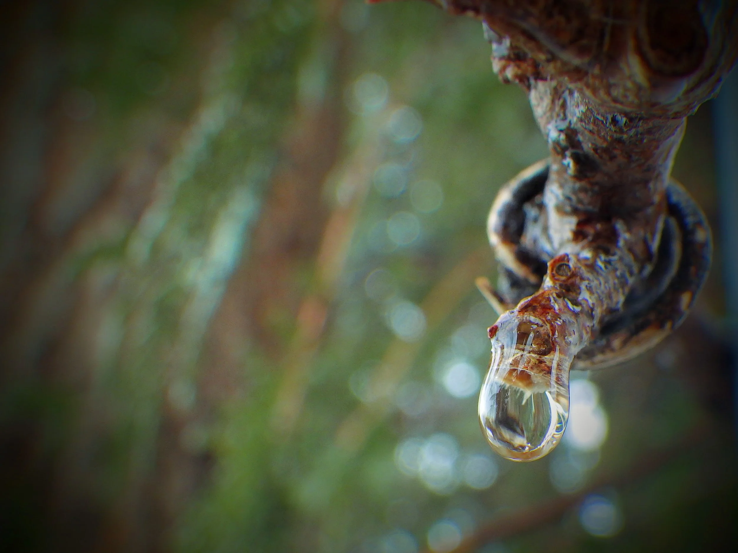 Miriam W. - King Edward PS