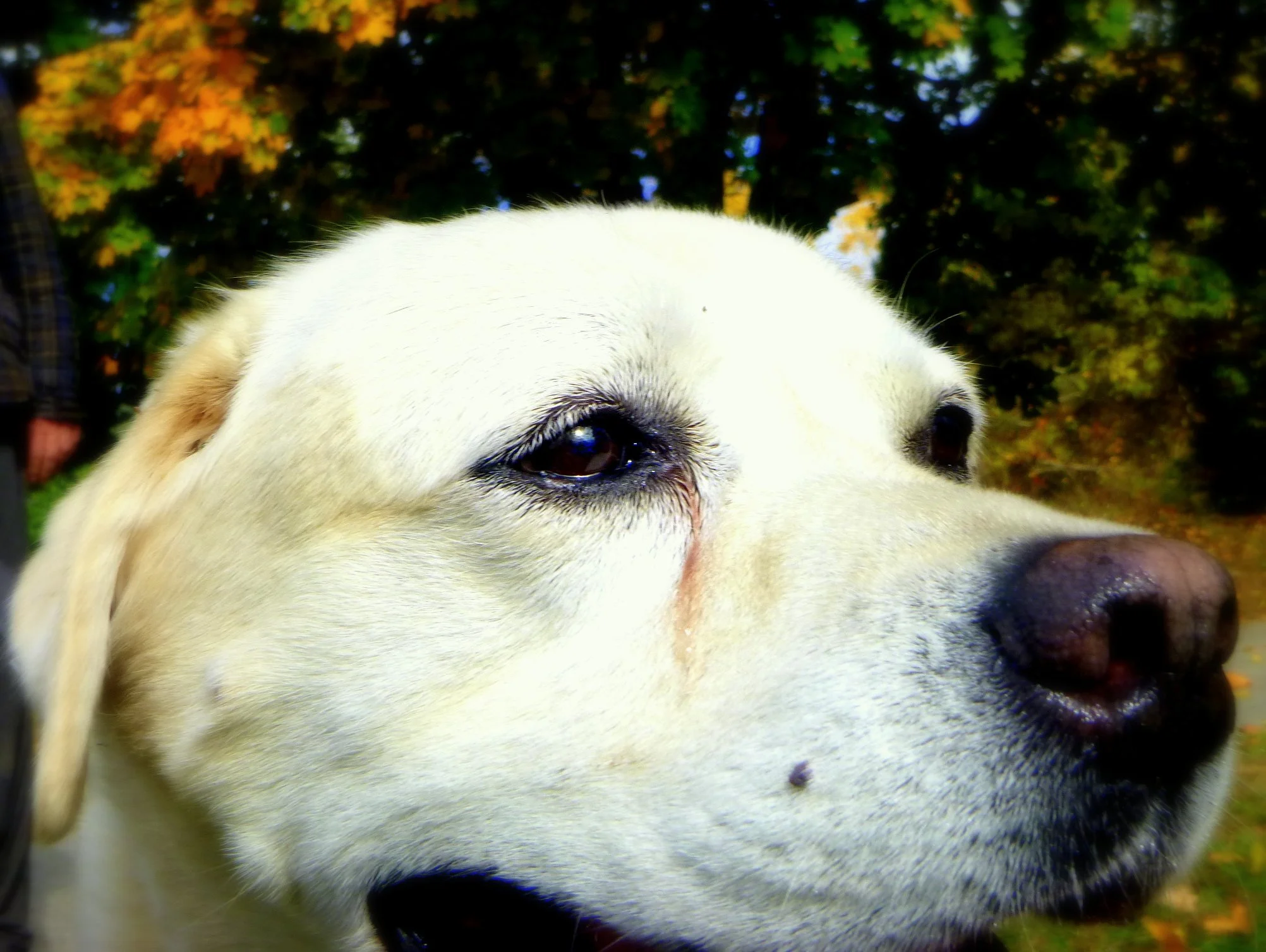 Alexander C. - Clanmore Montessori School