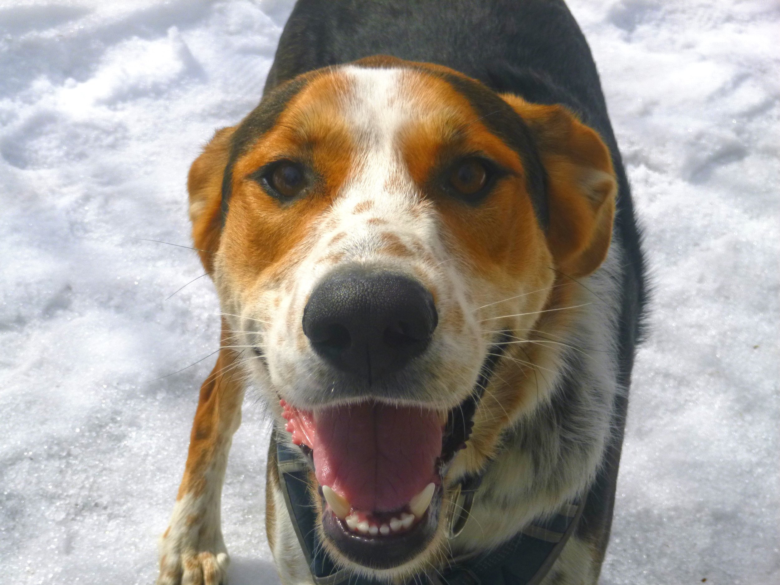 Greyson C. - Woodstock Art Museum 