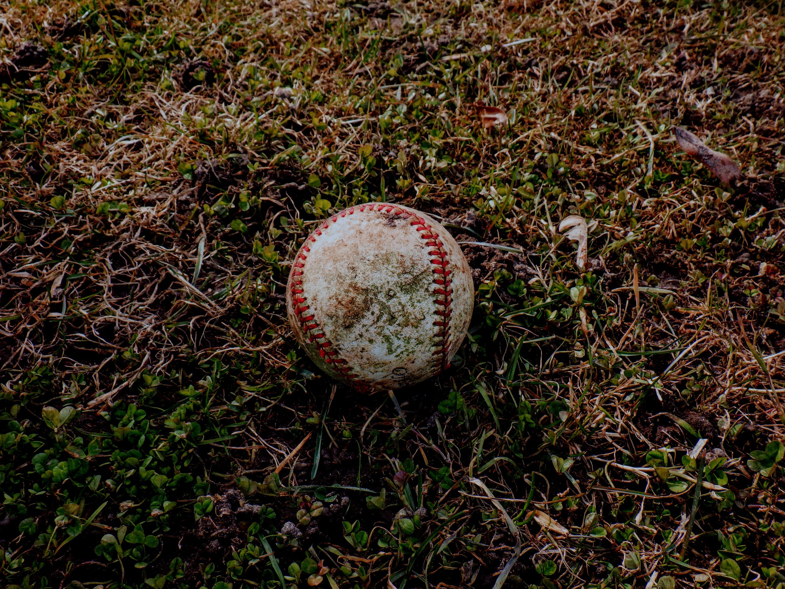 Sara J. - St. John's CES