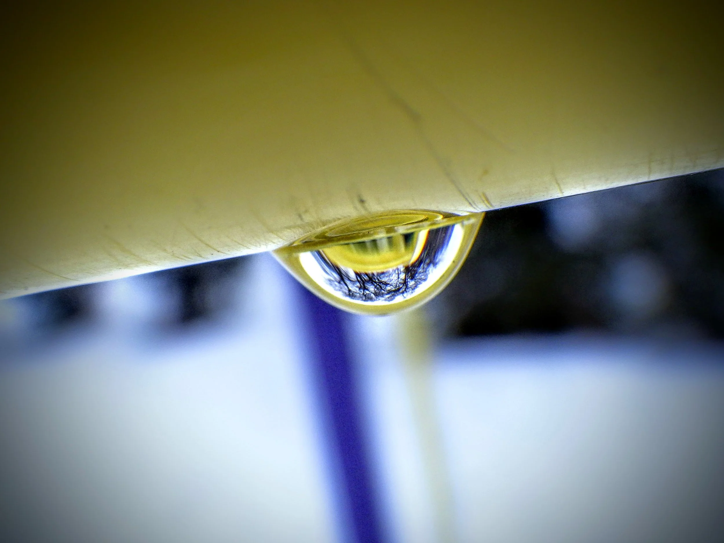 Aaradhya G. - King Edward PS