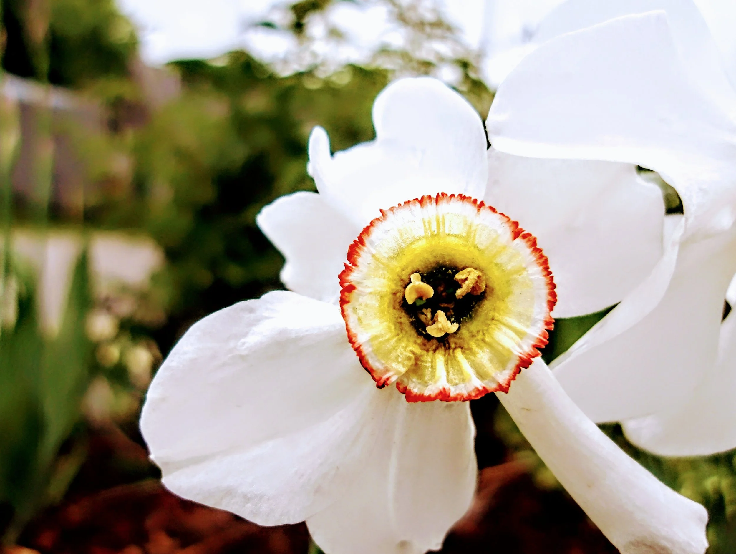 Brady L. - St. Charles CS