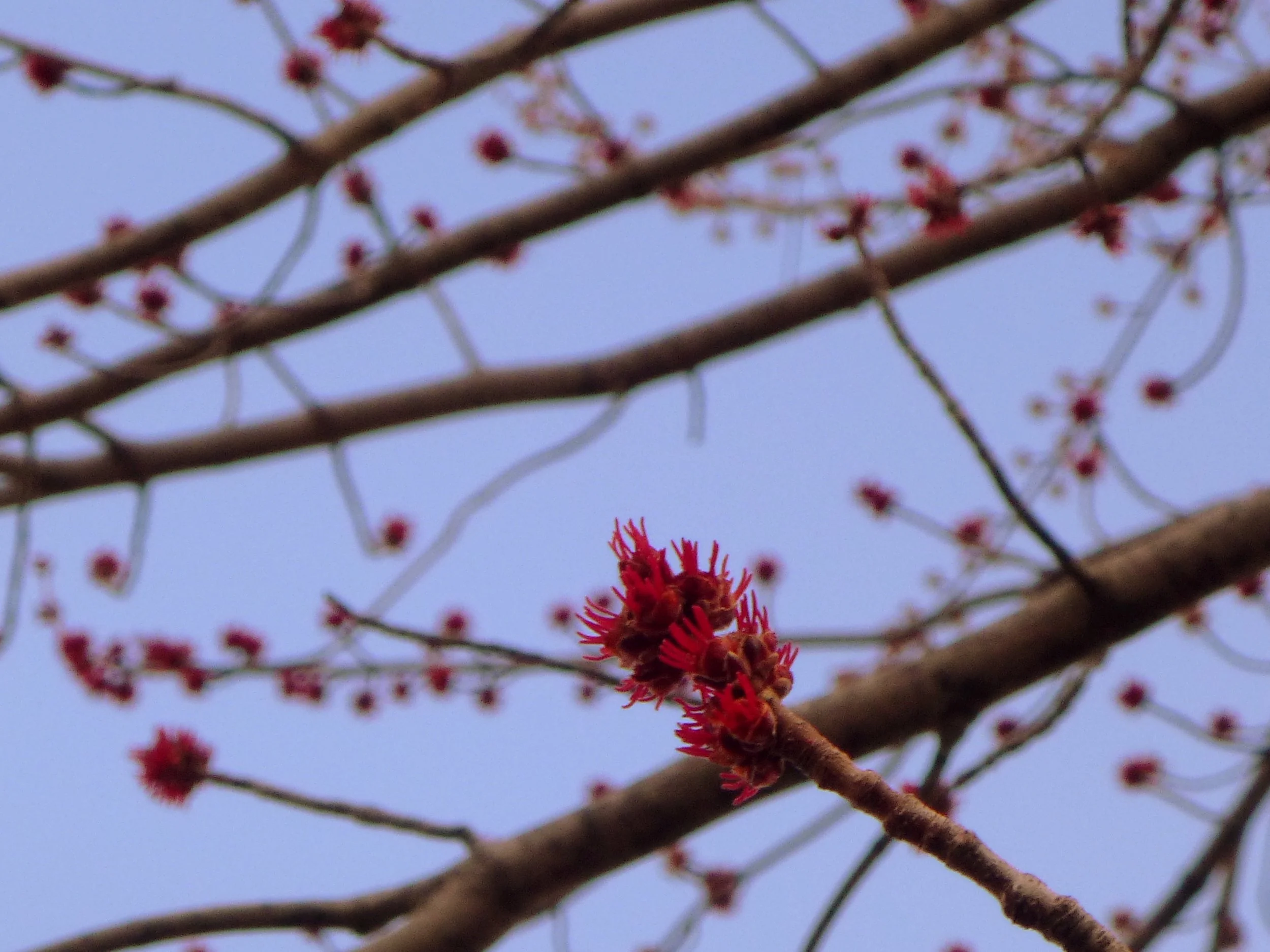 Sophie - Yorkview Elementary School