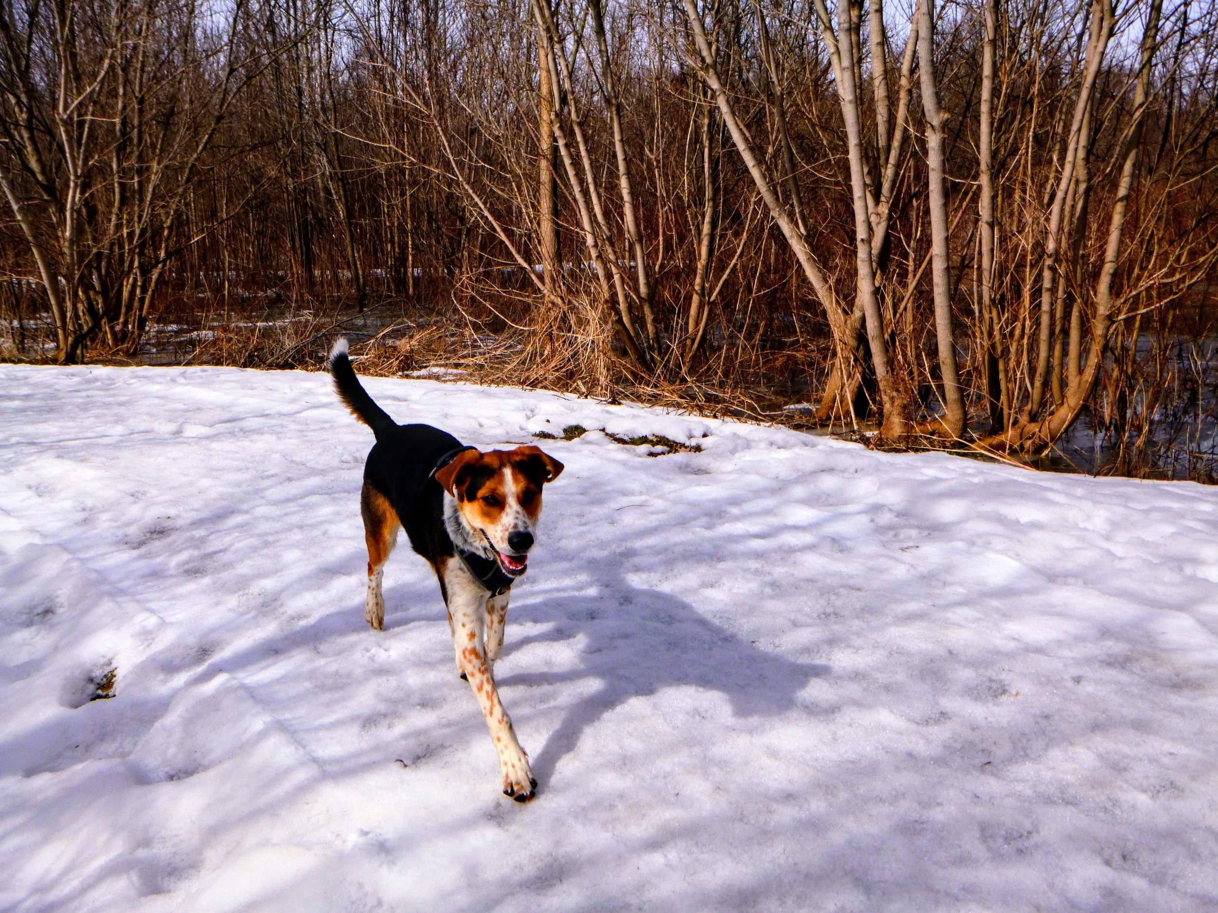 Olivia U. - Woodstock Art Museum 