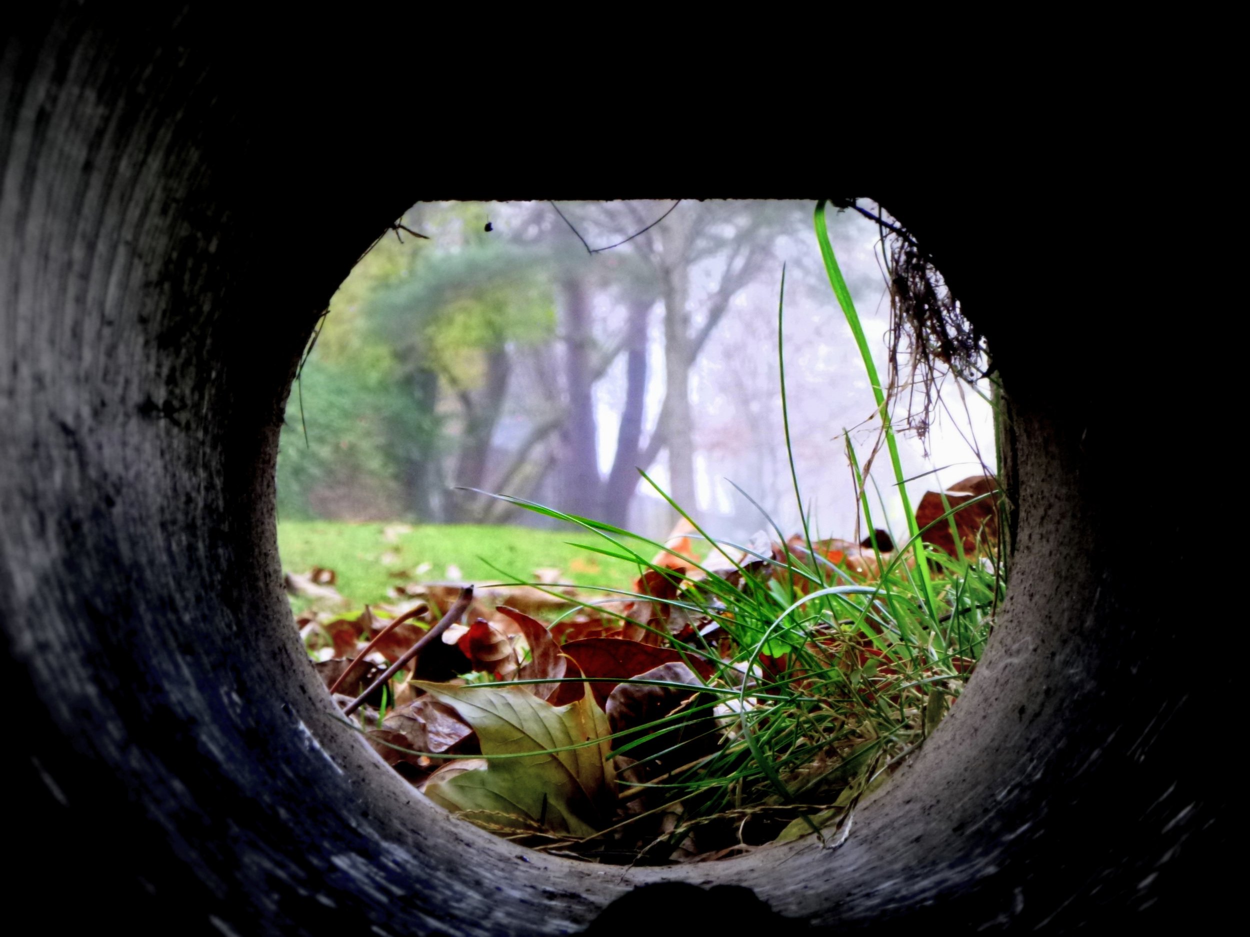 Toby L. - Canadian Martyrs CES