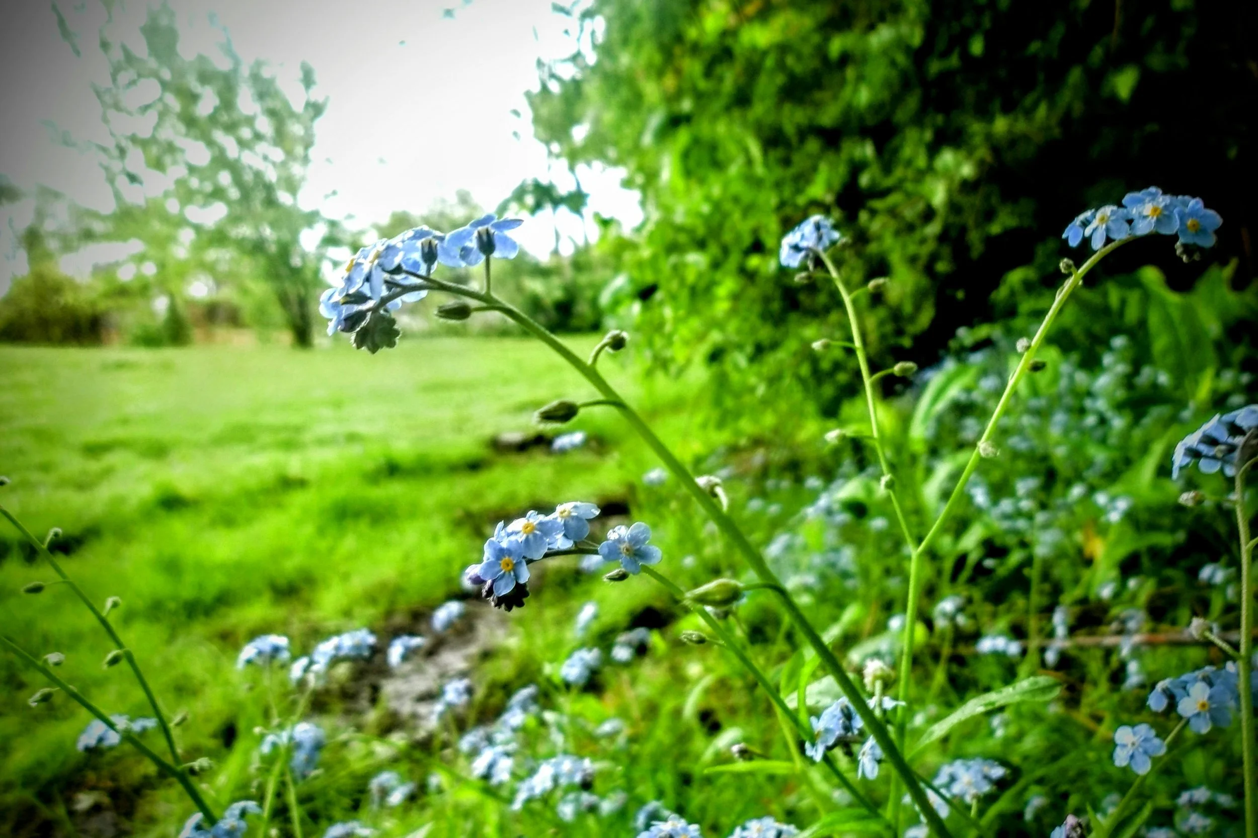 Miles M. - St. Sebastian CS