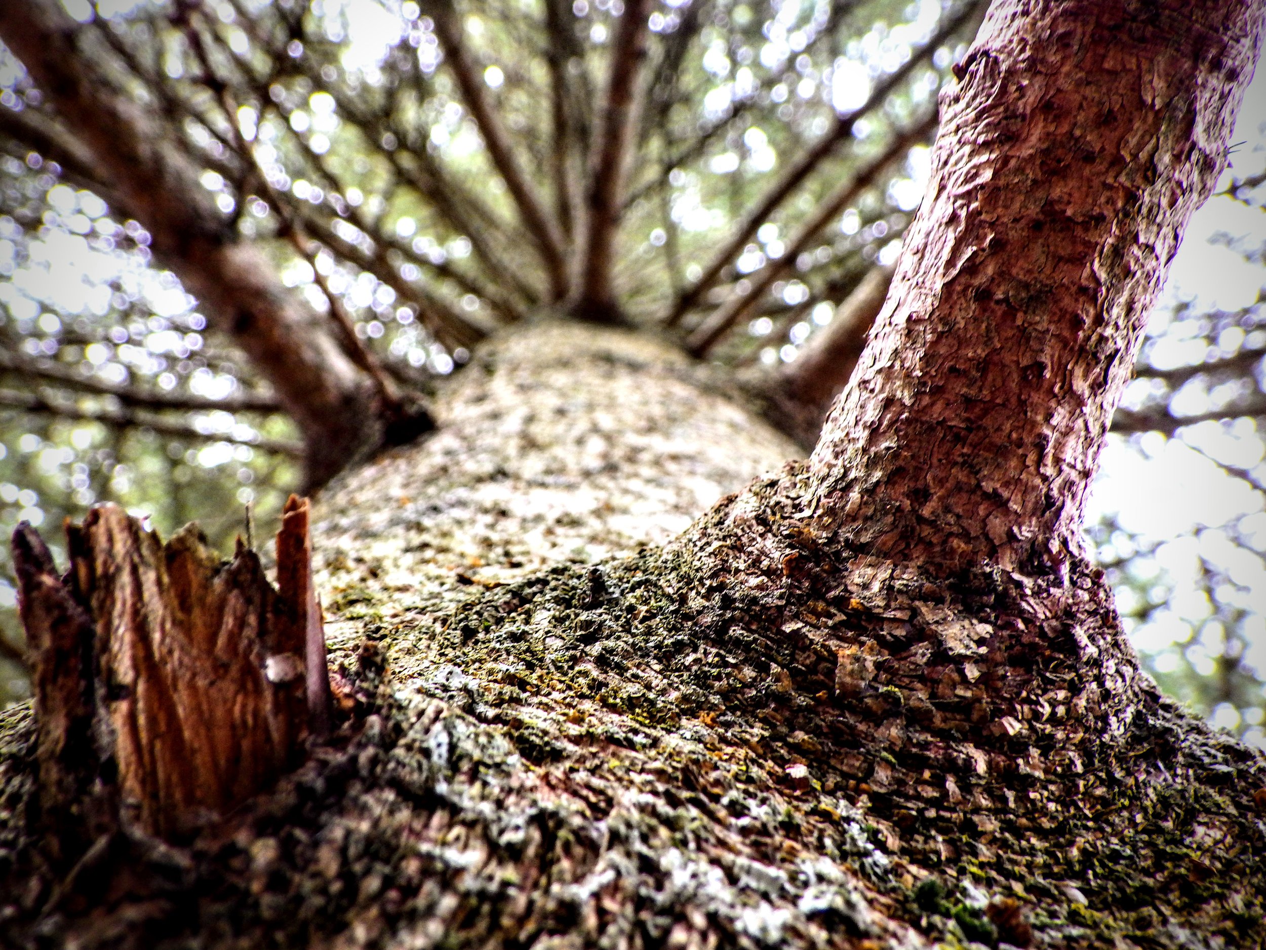 Heidi B. - Eramosa PS