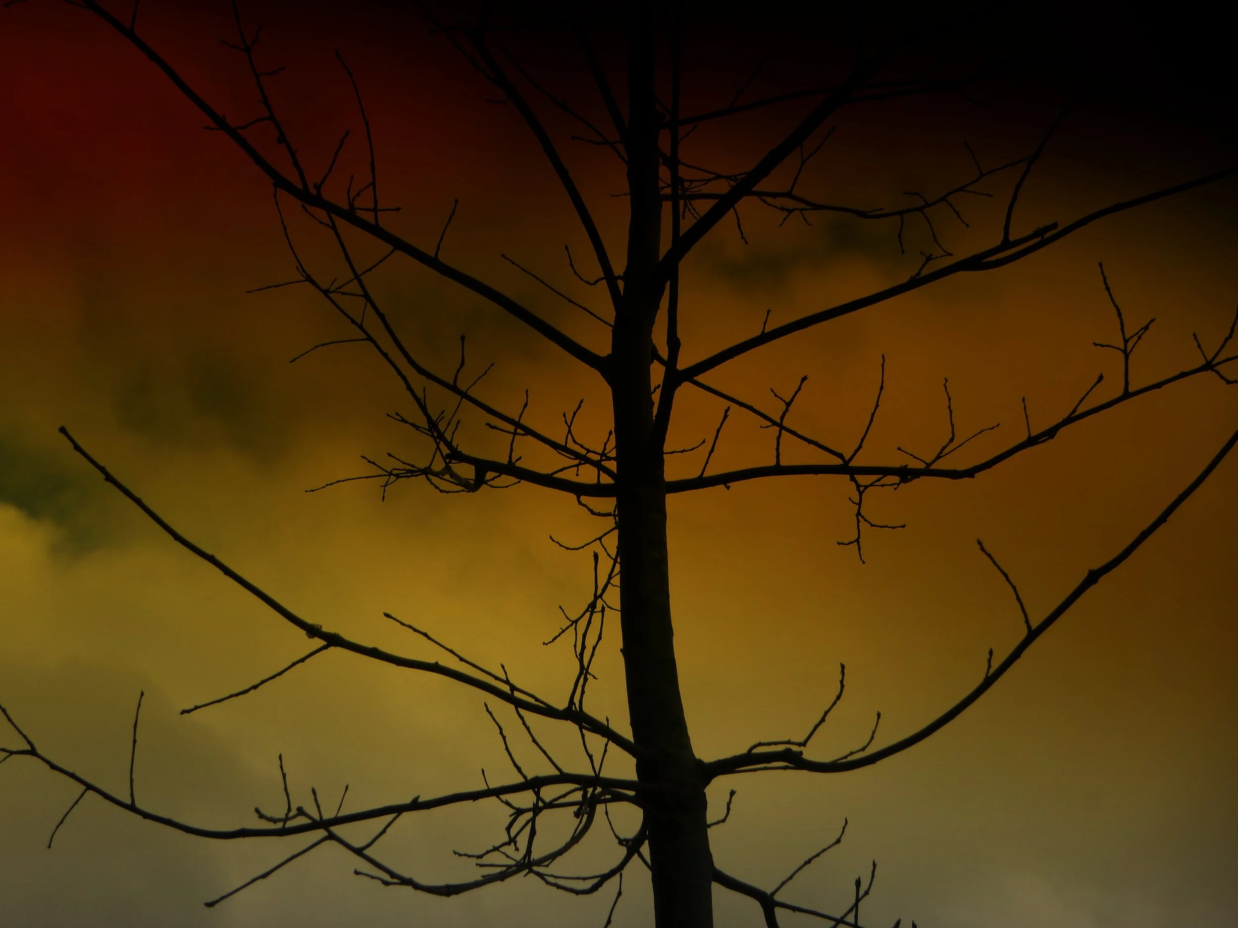 Azaan C. - Bruce Train PS