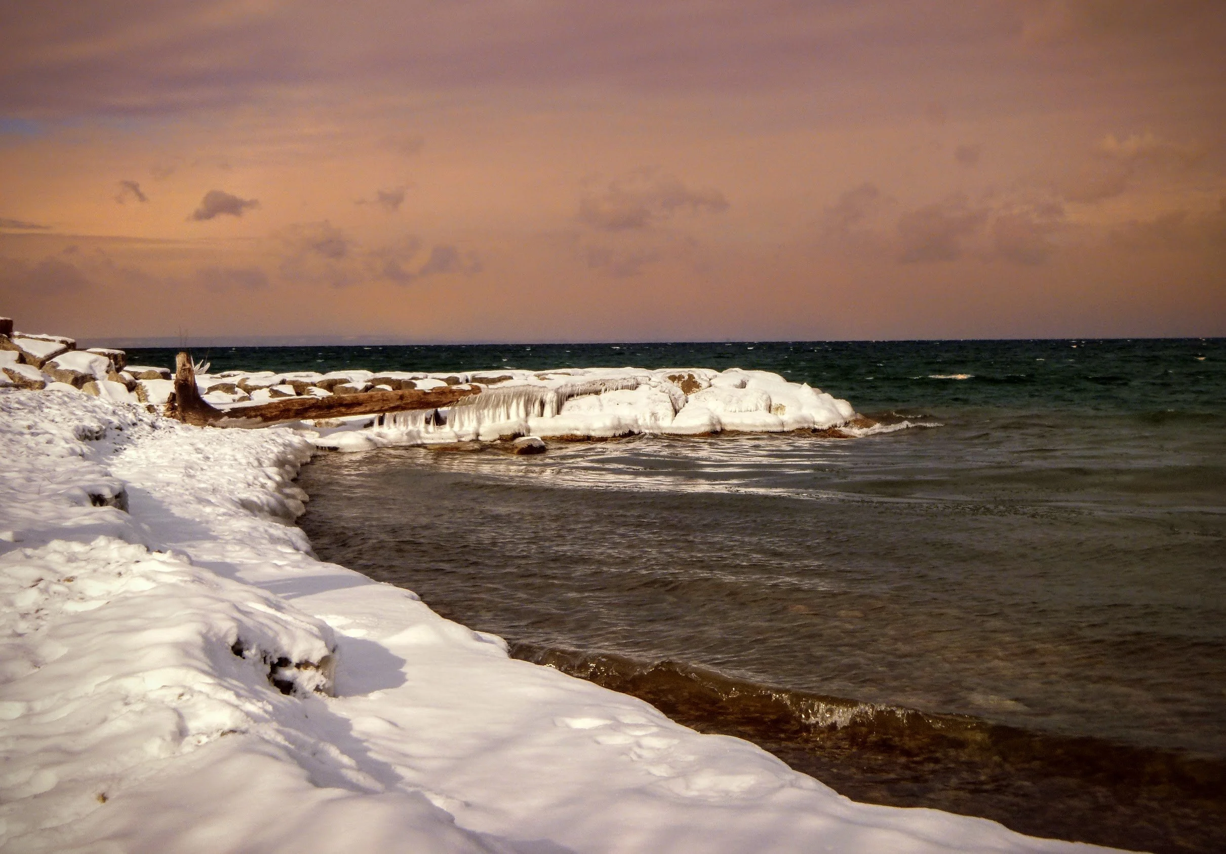 Ava D. - Our Lady of Fatima CES