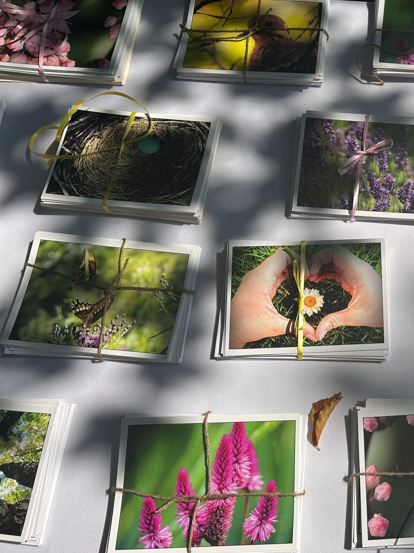 10 Pack of any Occasion Nature Cards