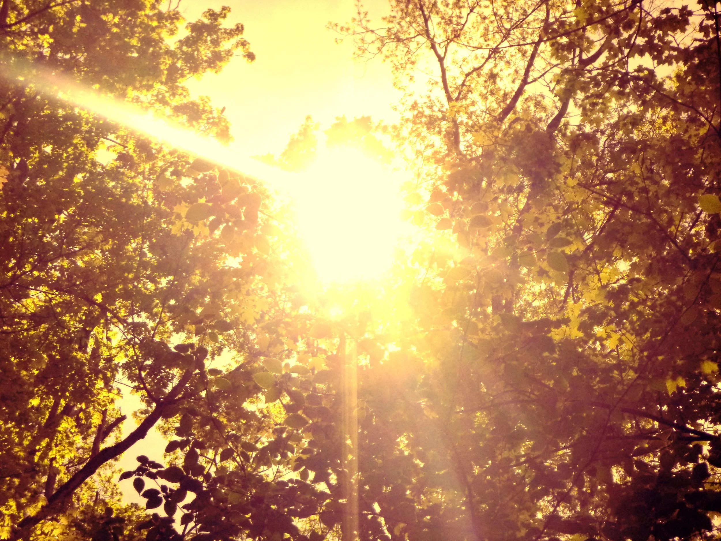 Eyoab M. - Victoria PS