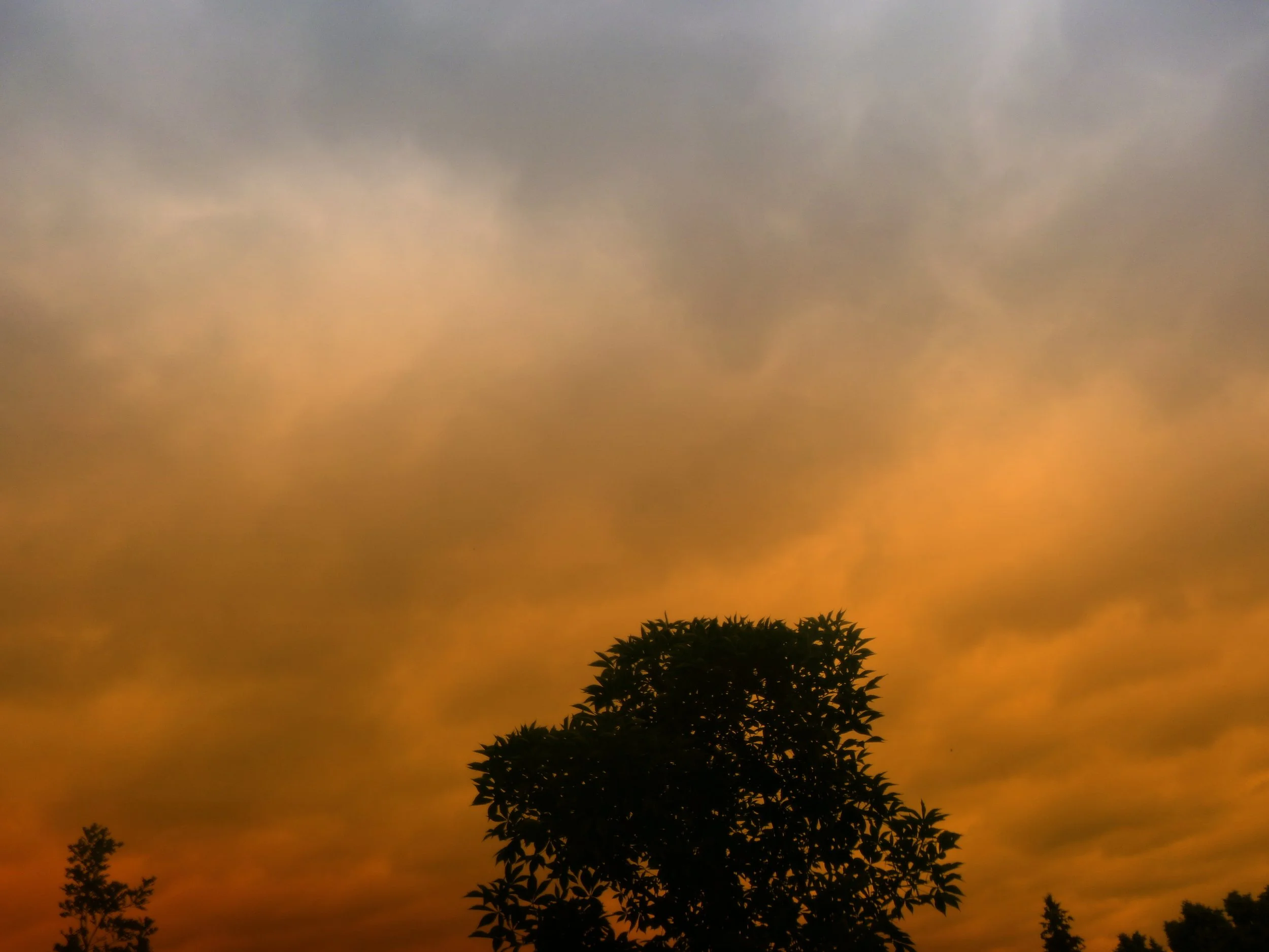 David E. - Captain R. Wilson PS