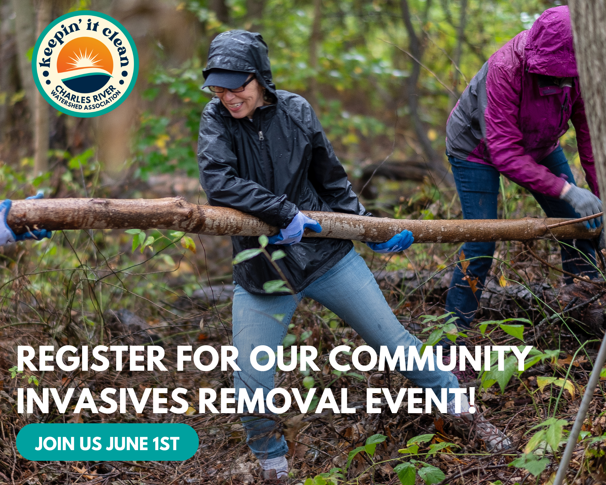 Community Day Bittersweet Removal 