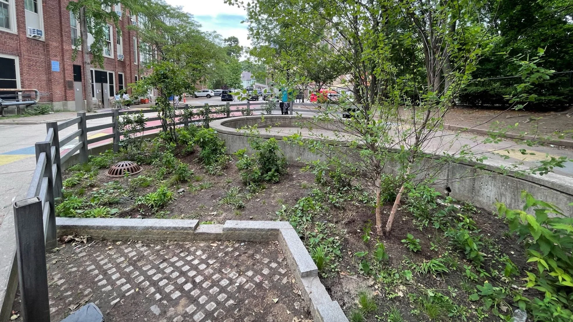 stormwater capture on schoolgrounds.jpeg