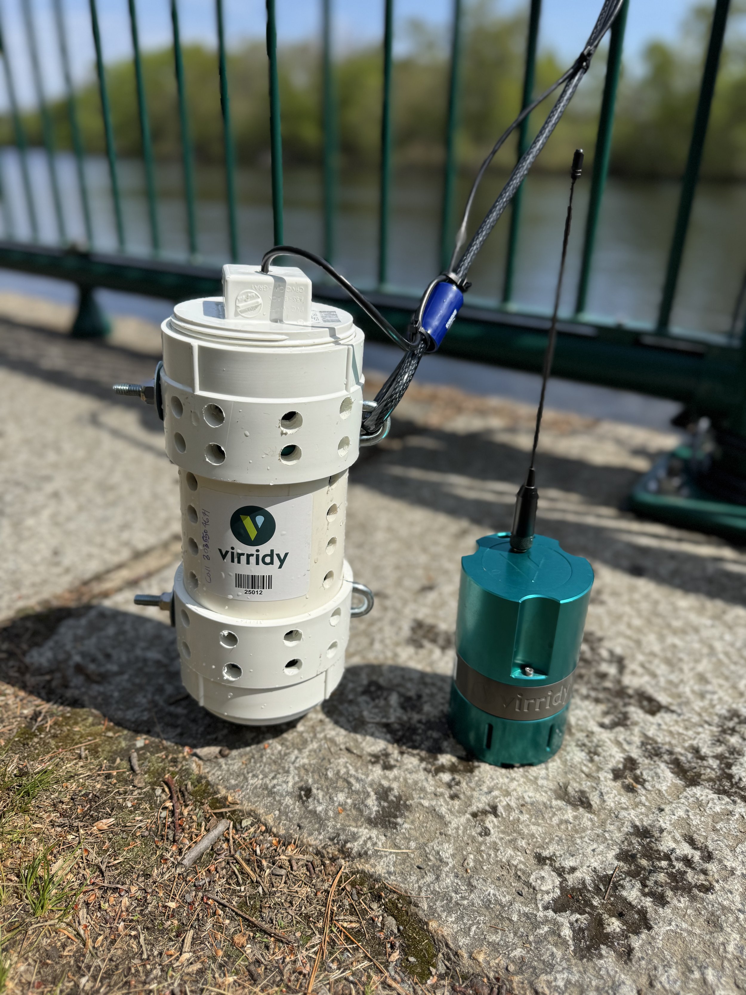 Charles River Watershed Association partners with Virridy to test Lume™ E. coli monitoring sensor in the Charles (Press Release)