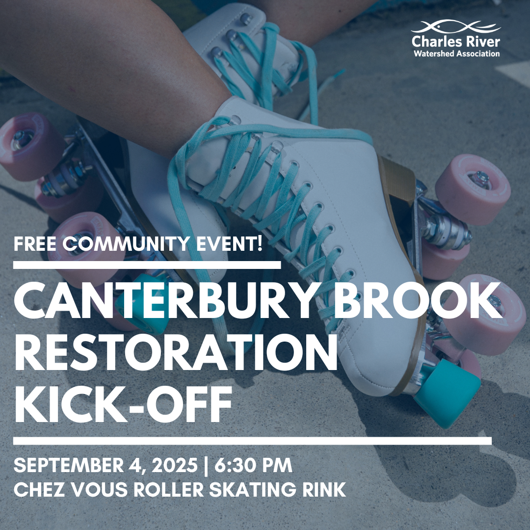 Canterbury Brook Restoration Kick-Off