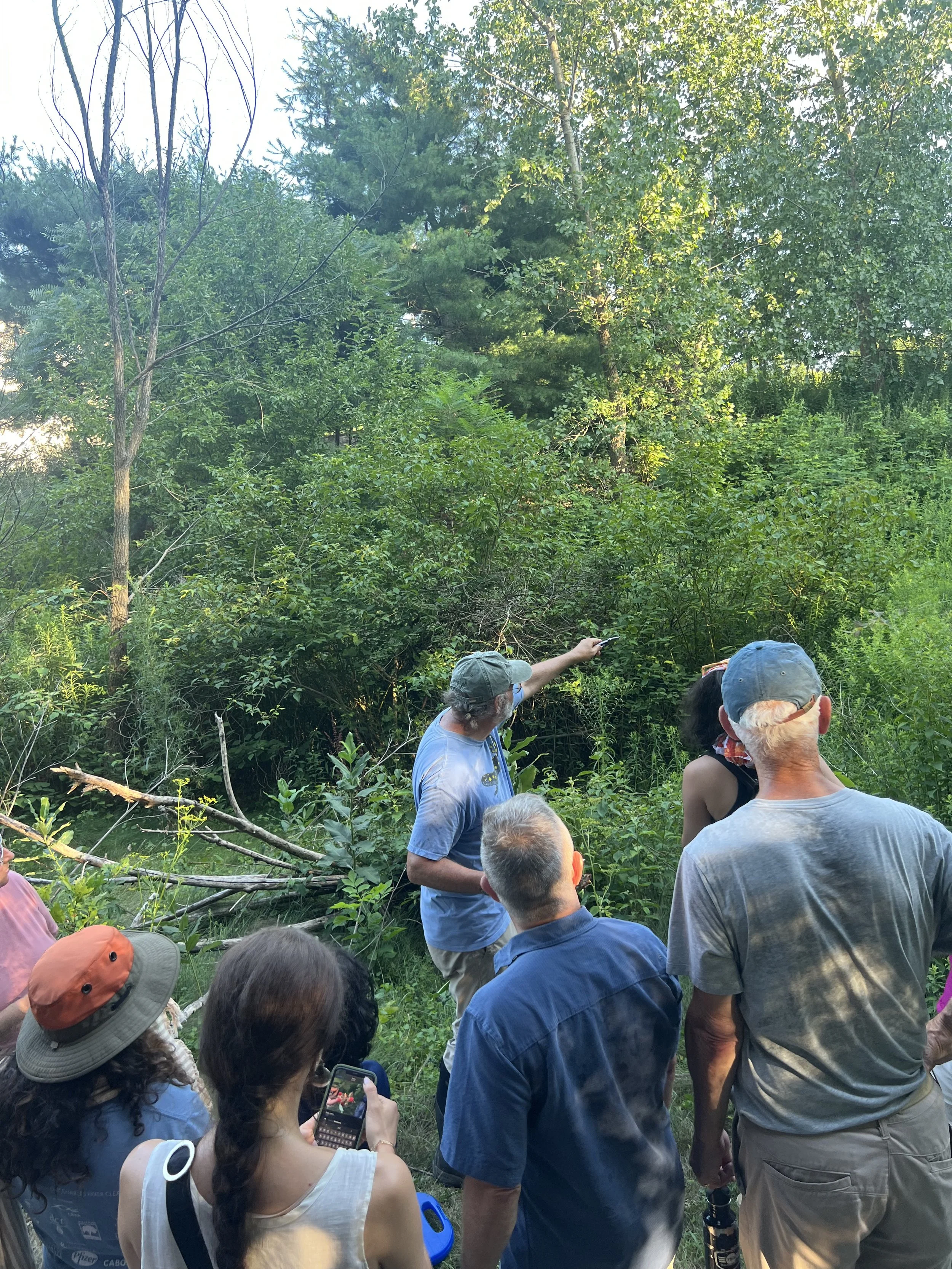 Meet Your Watershed Plant Identification Walk in Dedham