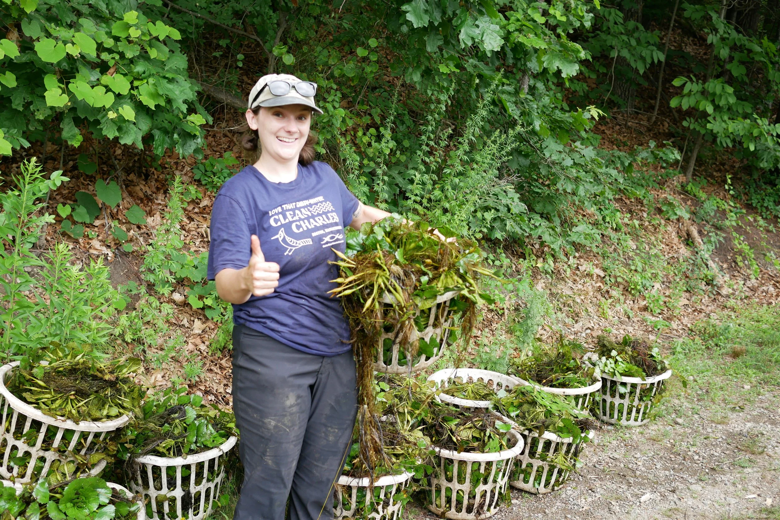 Charles River Watershed Association Removes Over 53,000 Pounds of ...