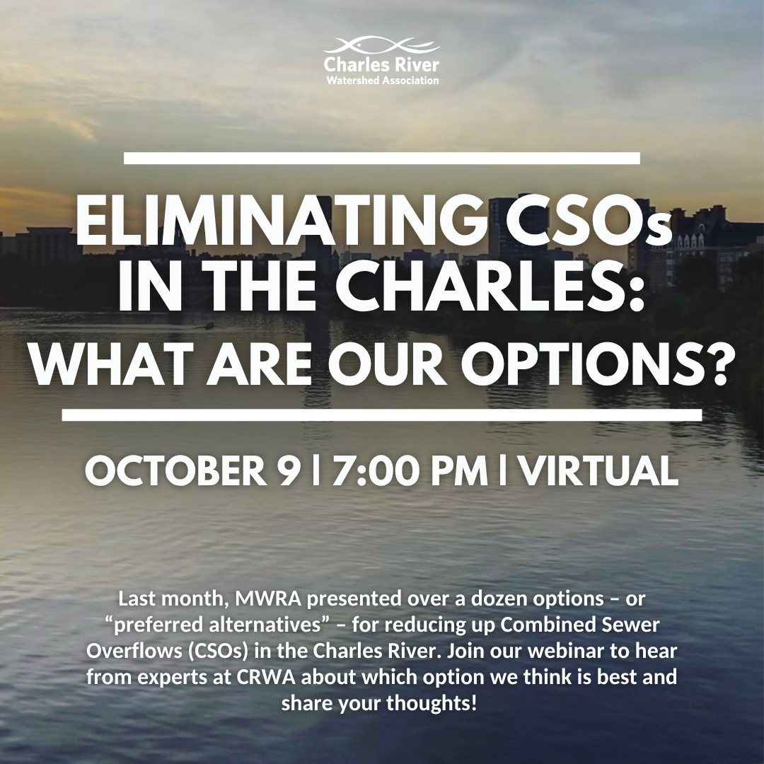 Eliminating CSOs In The Charles—What Are Our Options?