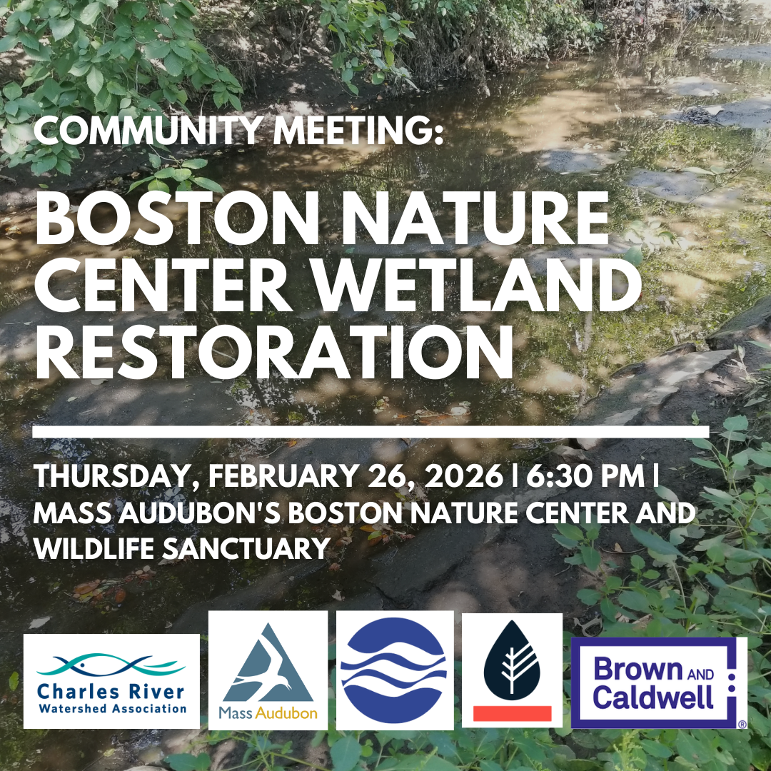 Boston Nature Center Wetland Restoration Community Meeting