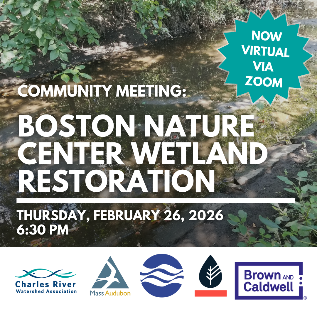 Boston Nature Center Wetland Restoration Community Meeting