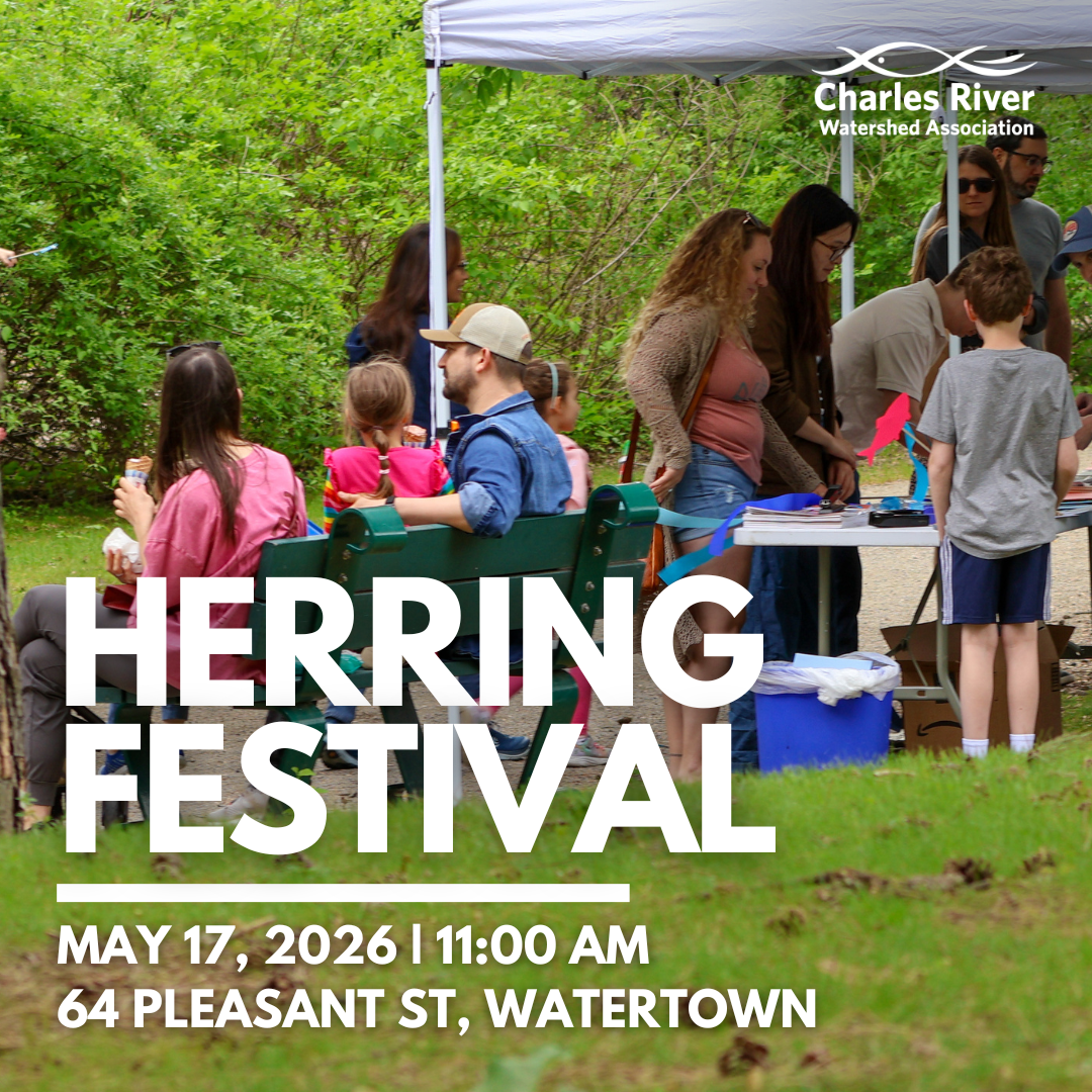 2026 Herring Festival