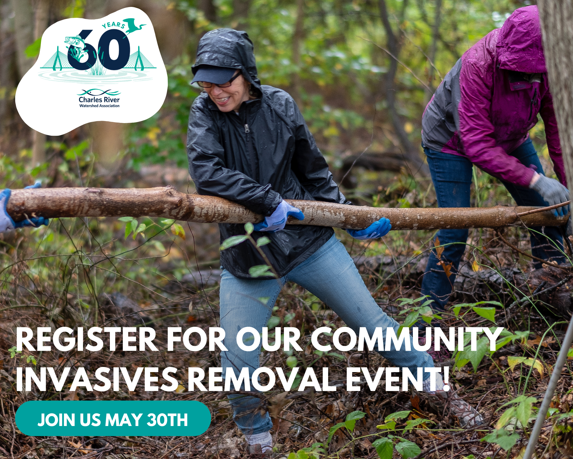 Community Day Bittersweet Removal