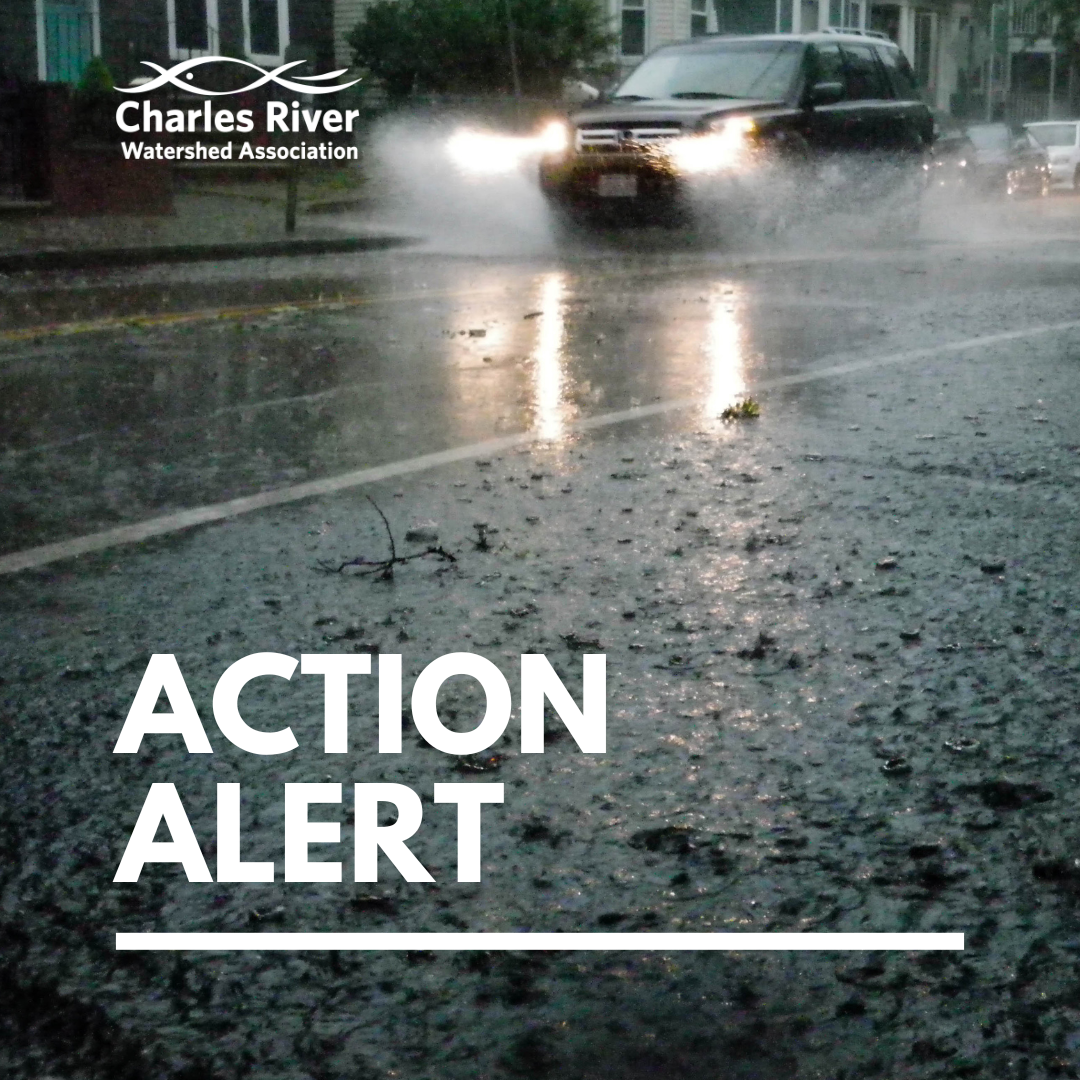 Action Alert: Act Now For Climate Resilience! 