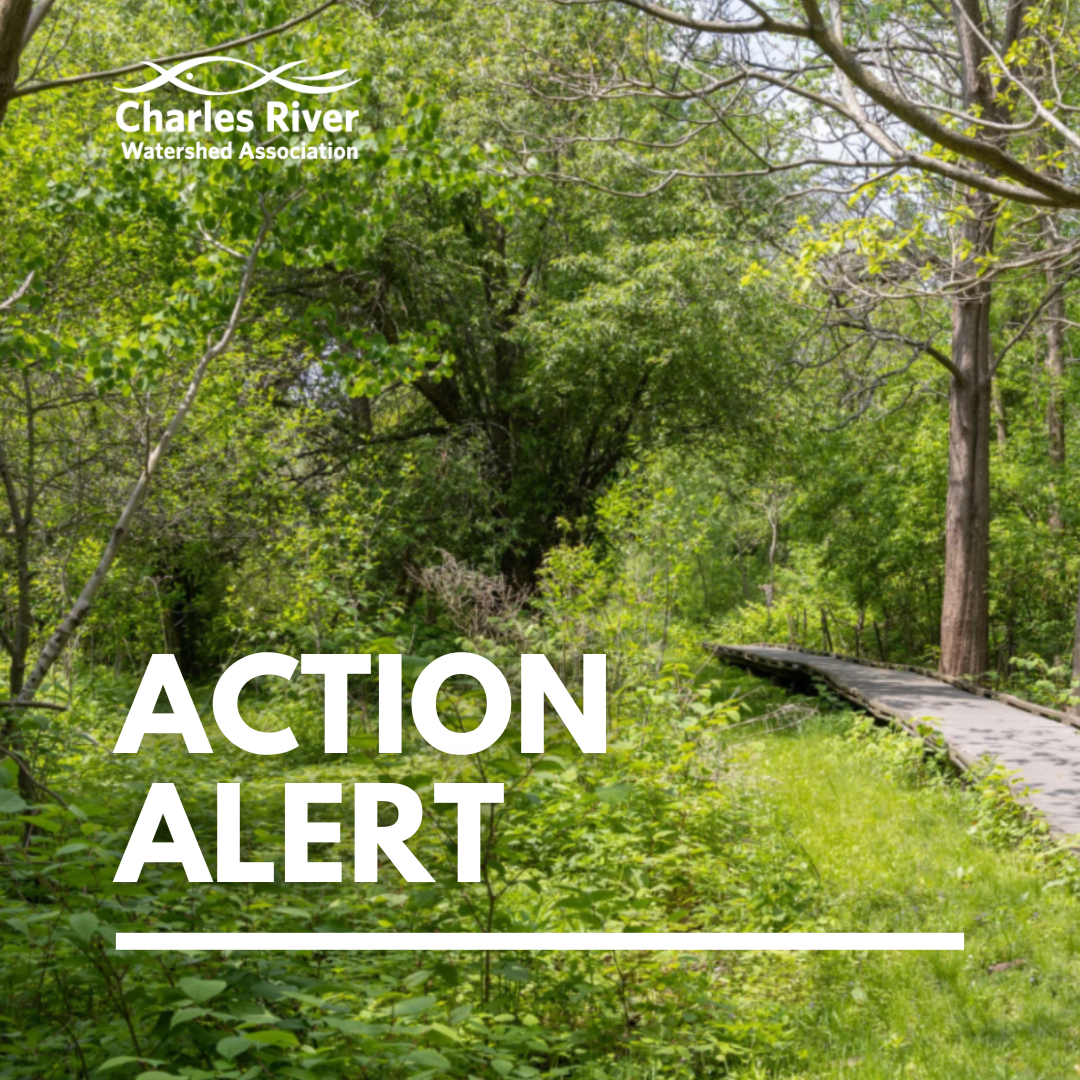 Action Alert: Act Before May 19 To Protect Mass Parks &amp; Environmental Agencies From Funding Cuts